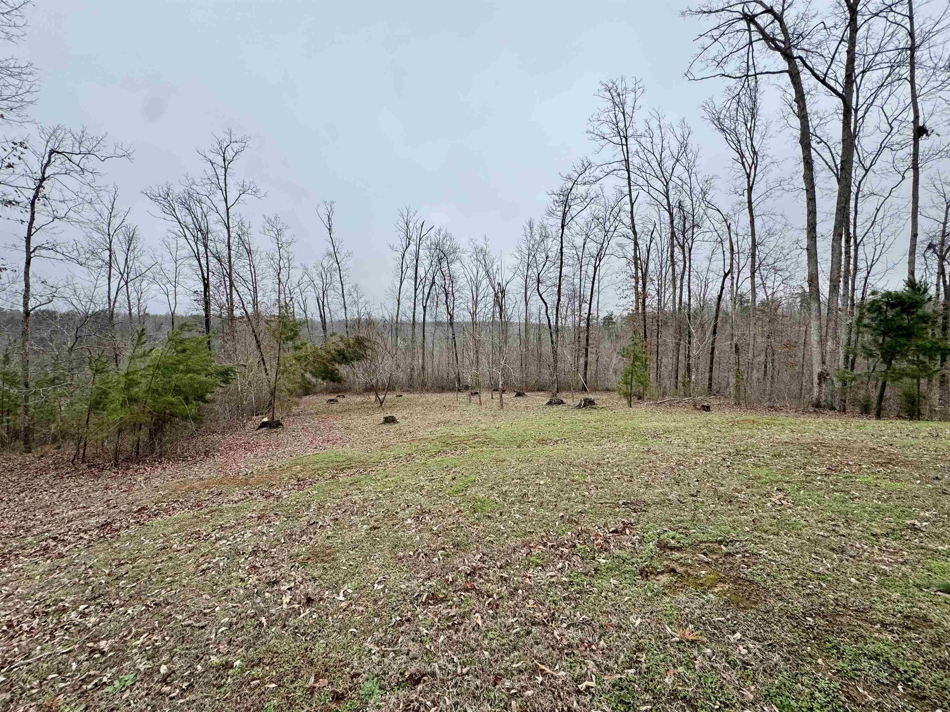 125 Elam Way Property Photo 24