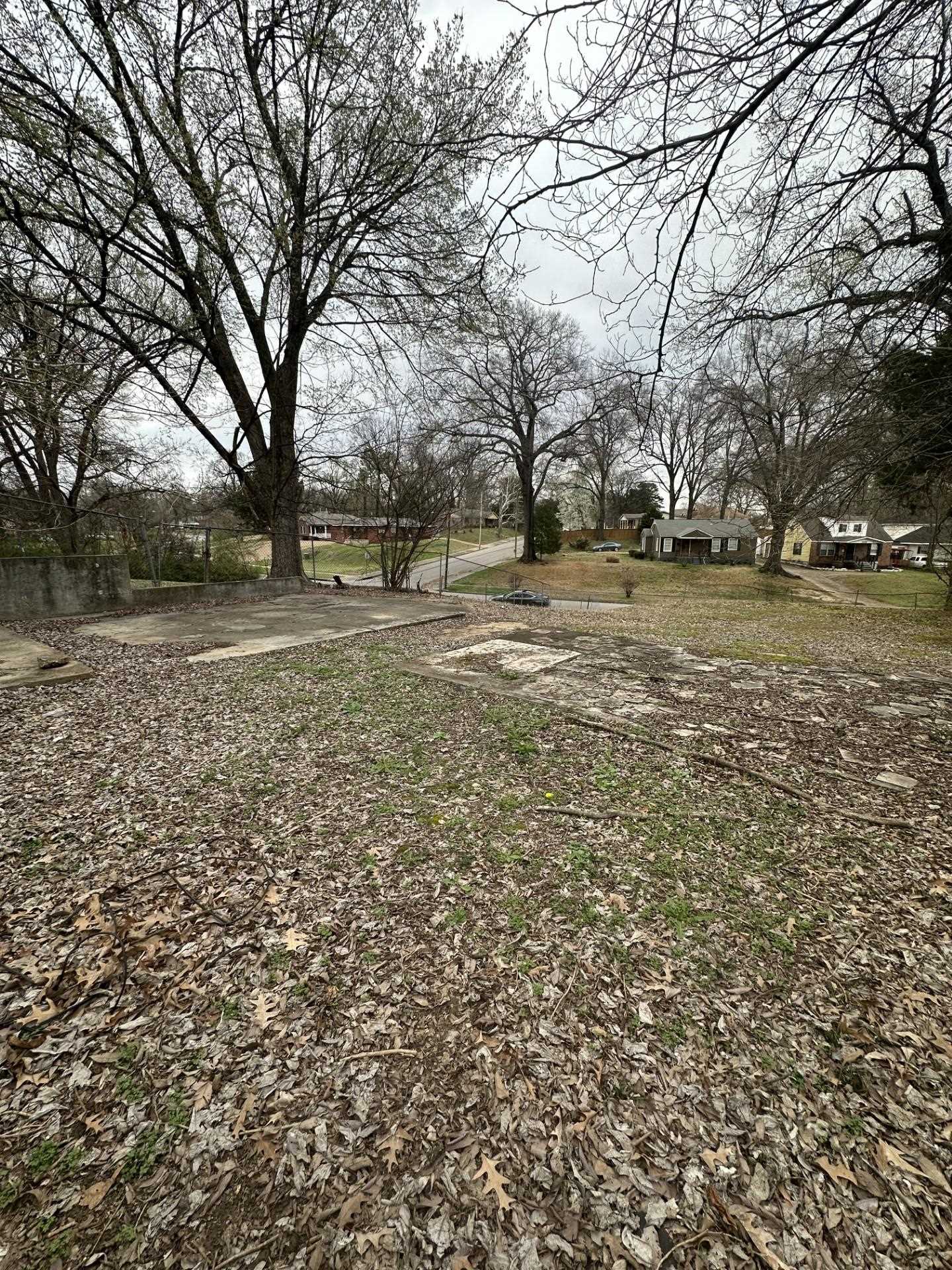 1539 Marjorie St Property Photo 5