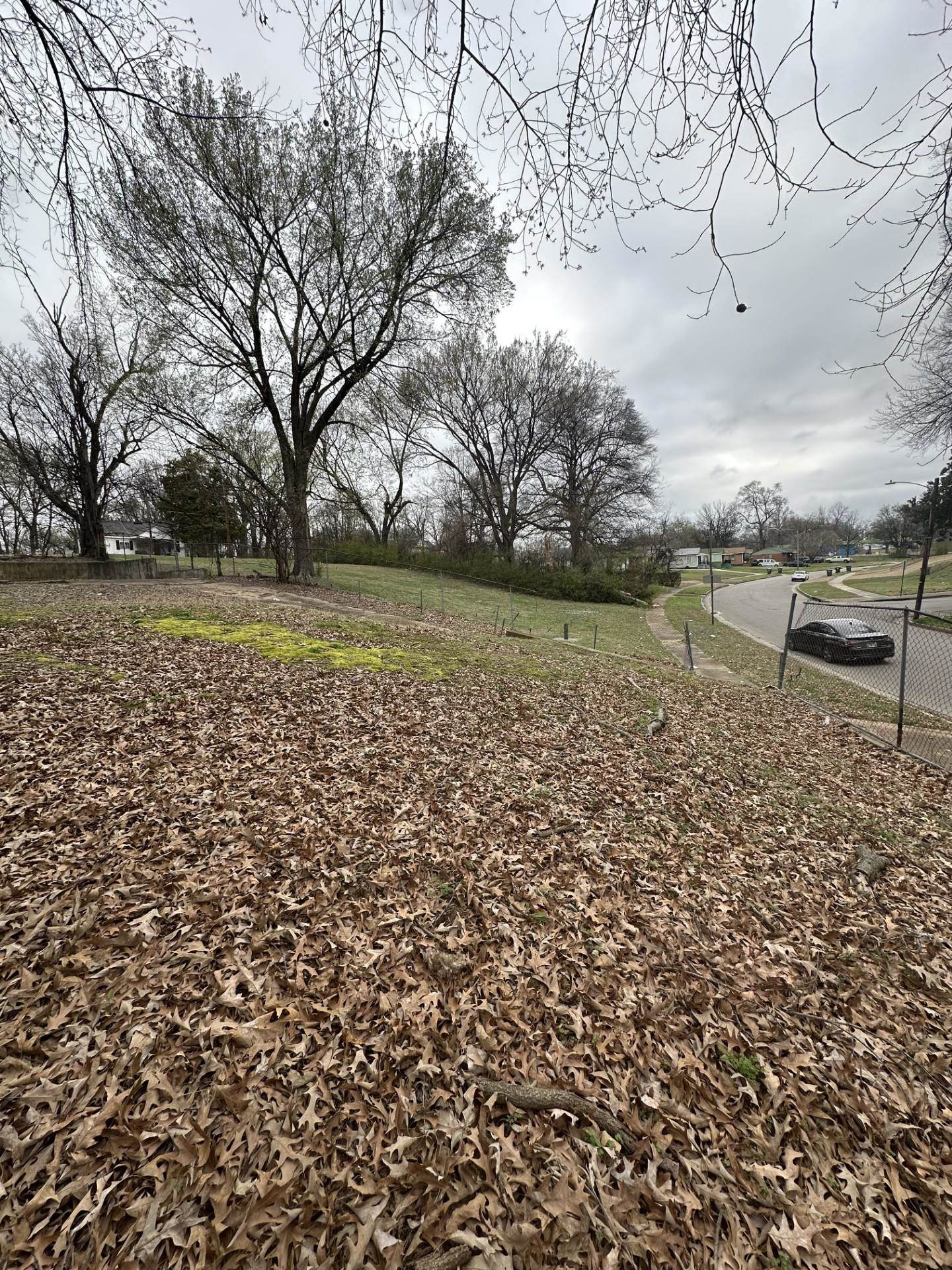 1539 Marjorie St Property Photo 7