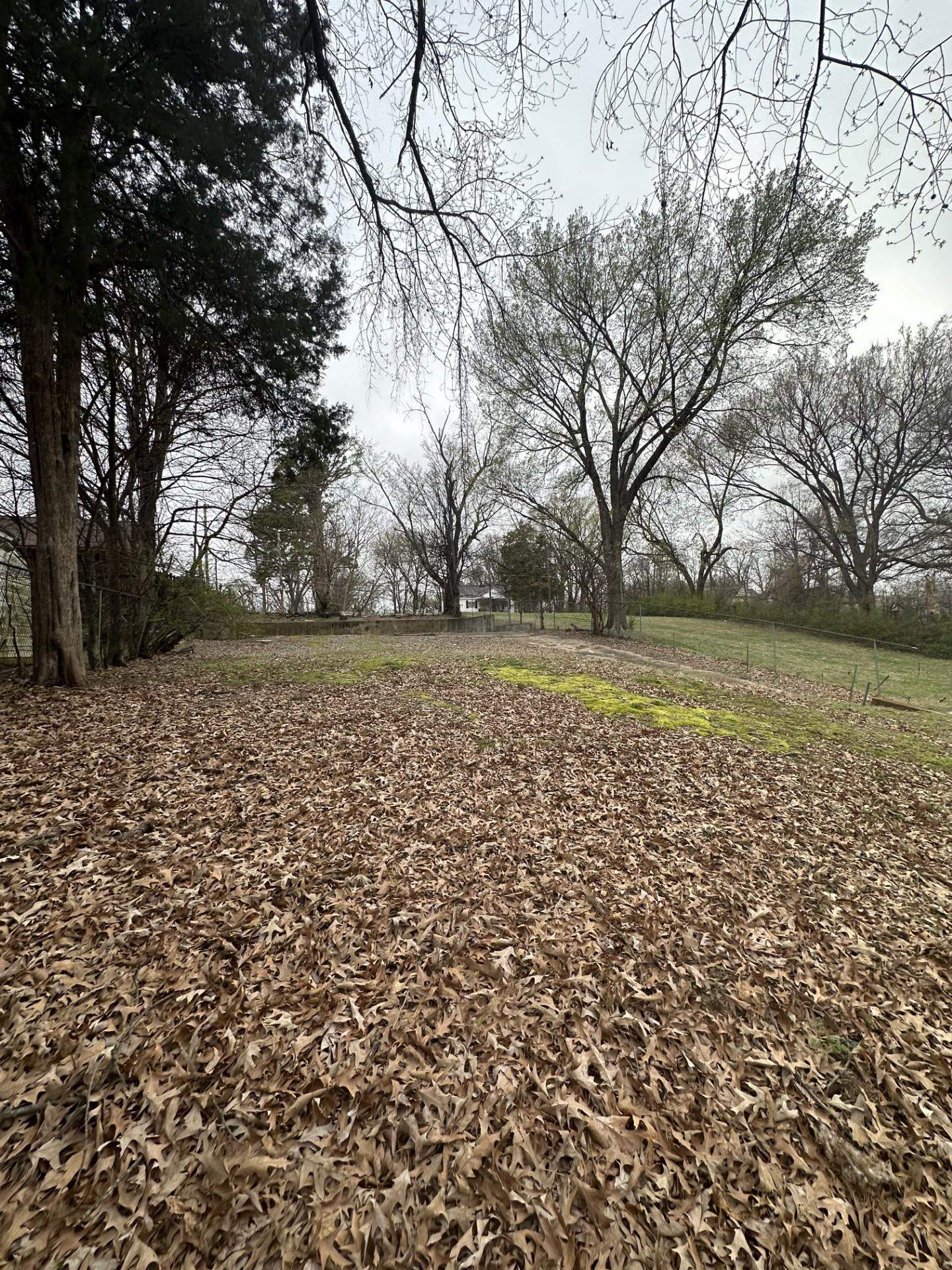 1539 Marjorie St Property Photo 9