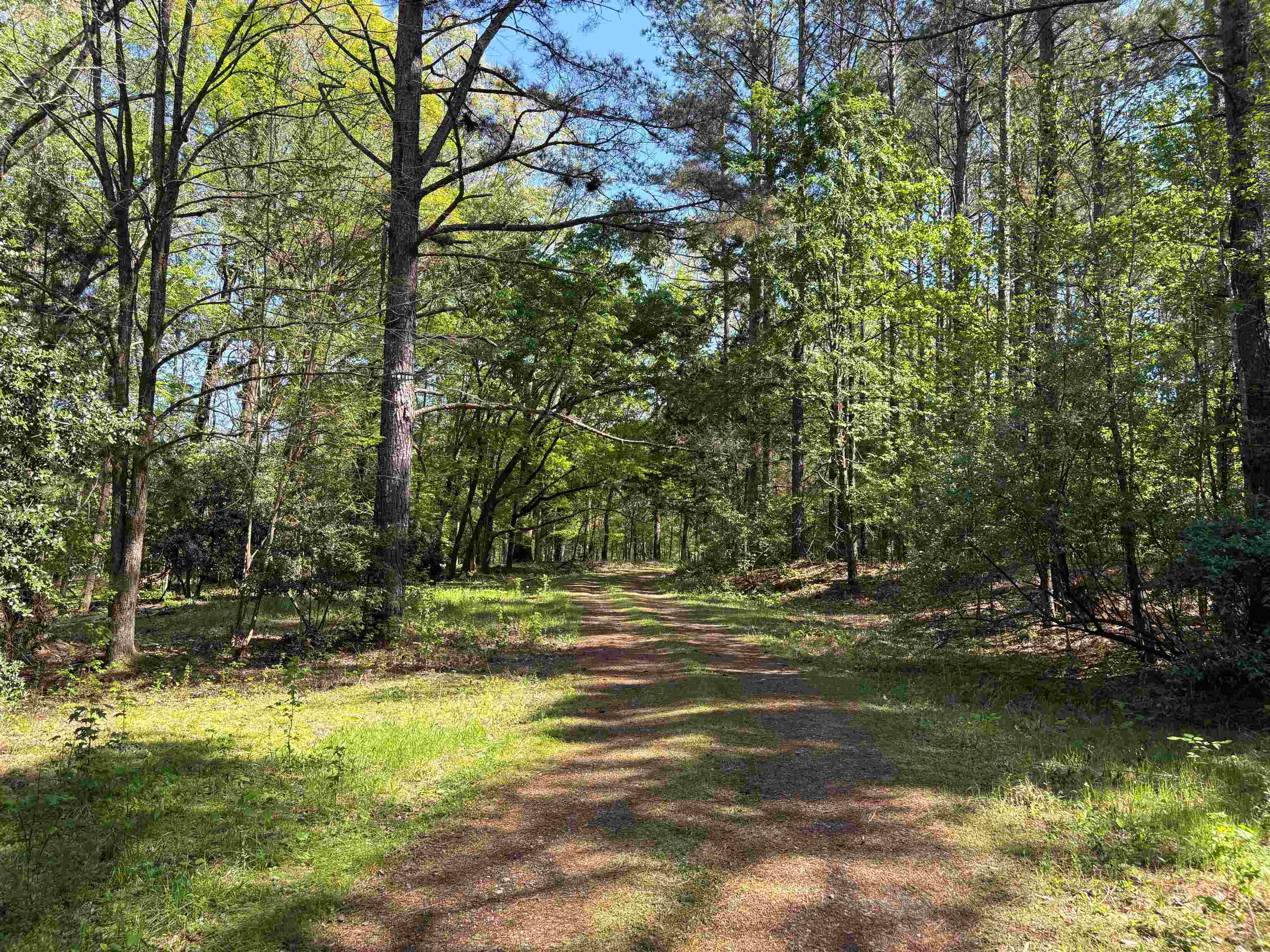 11338 Monterey Rd Property Photo 2