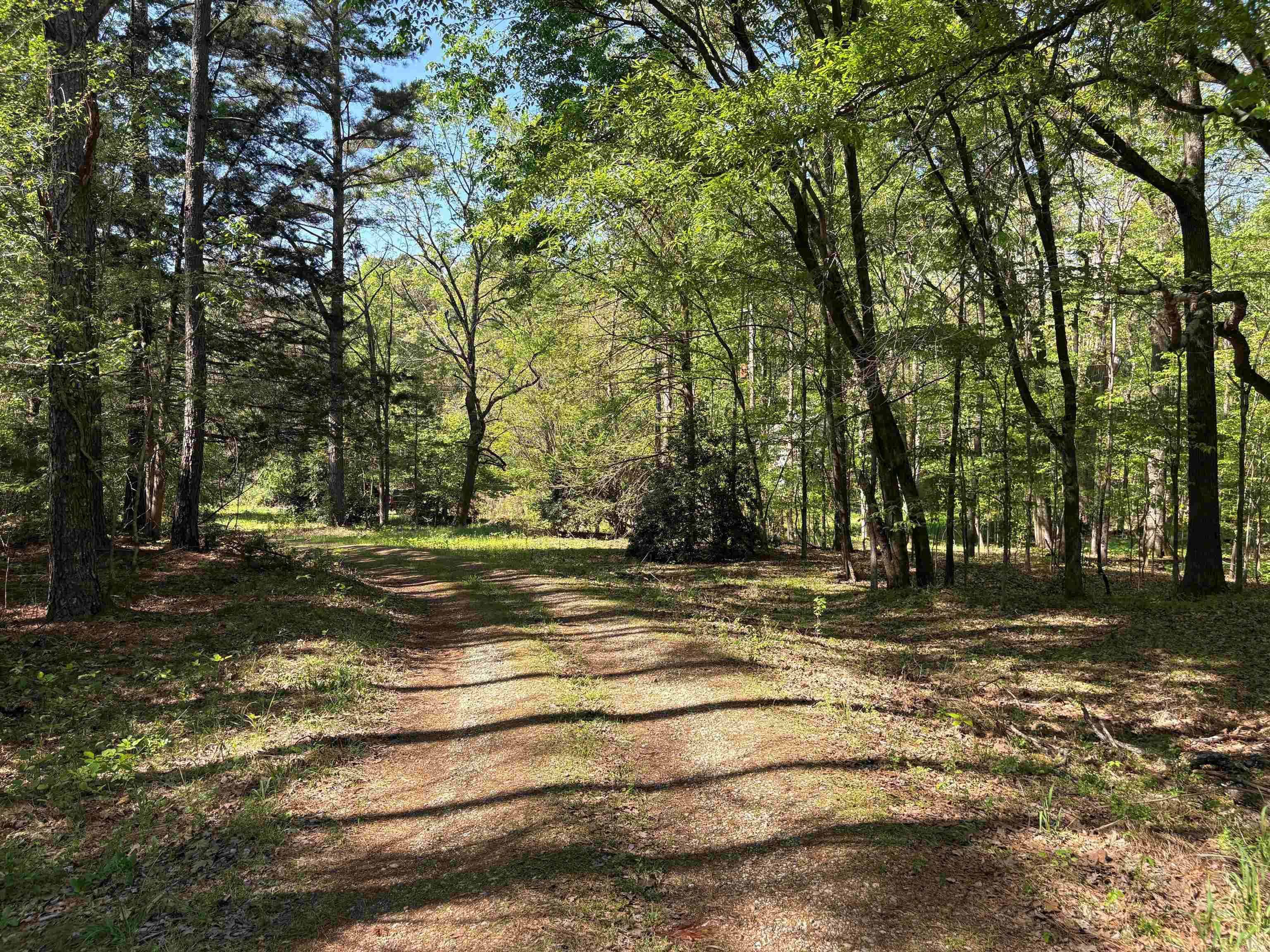 11338 Monterey Rd Property Photo 3