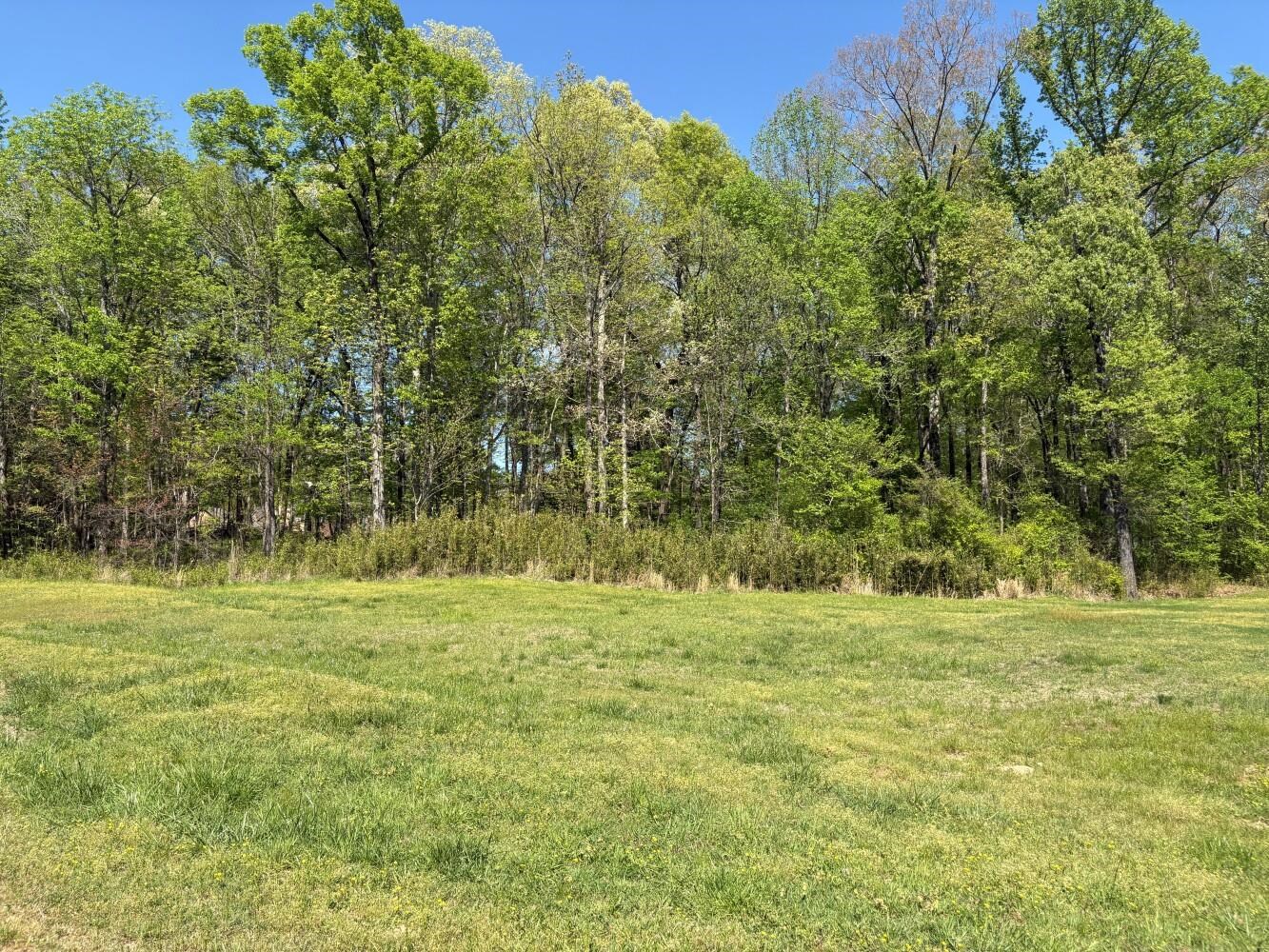 11338 Monterey Rd Property Photo 8