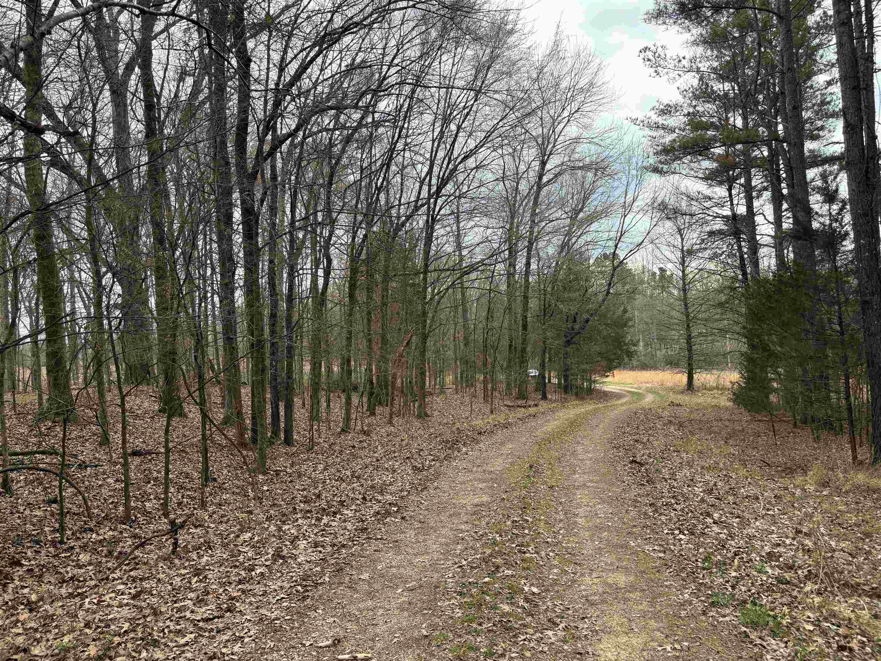 11338 Monterey Rd Property Photo 10