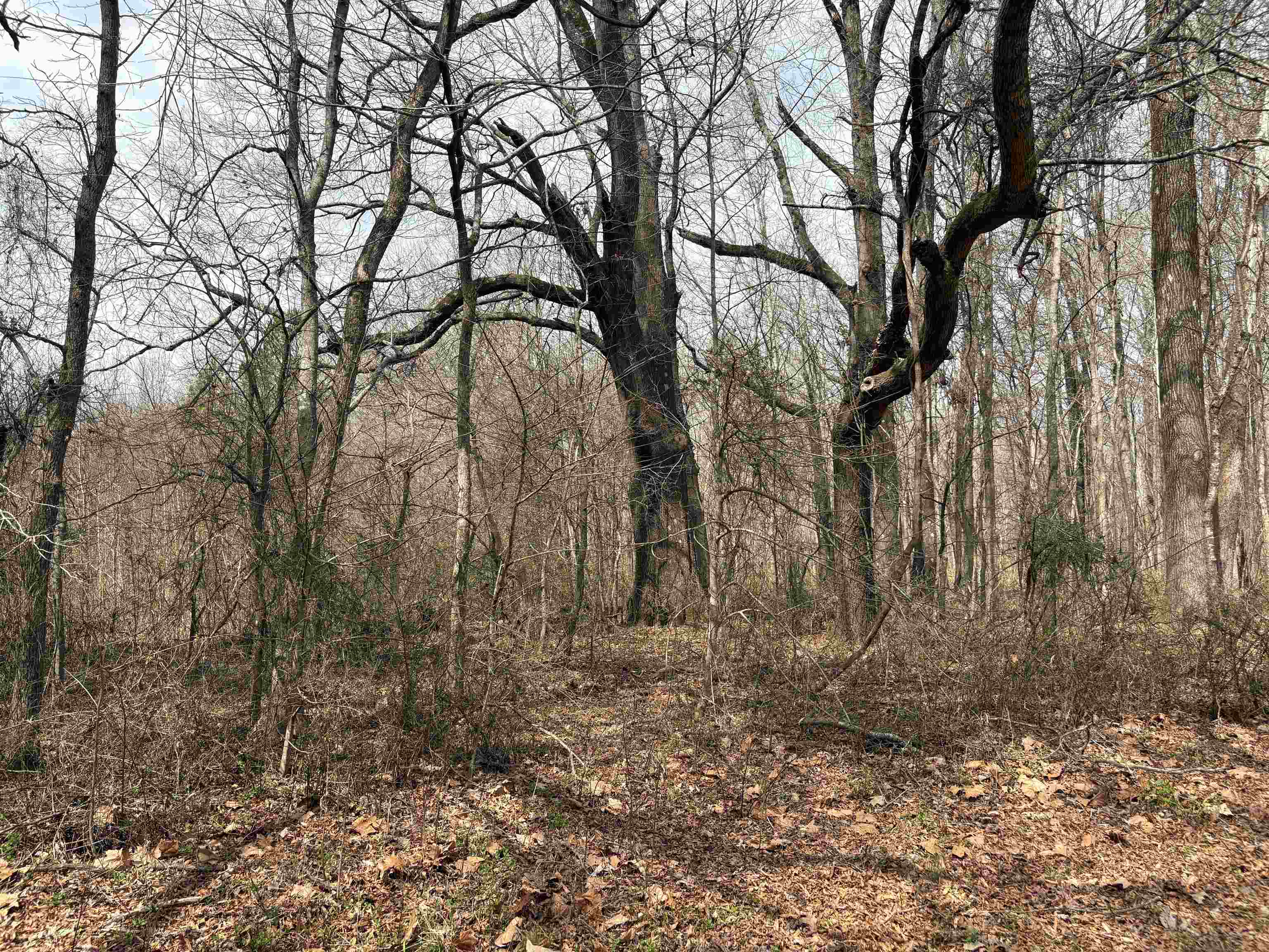11338 Monterey Rd Property Photo 16