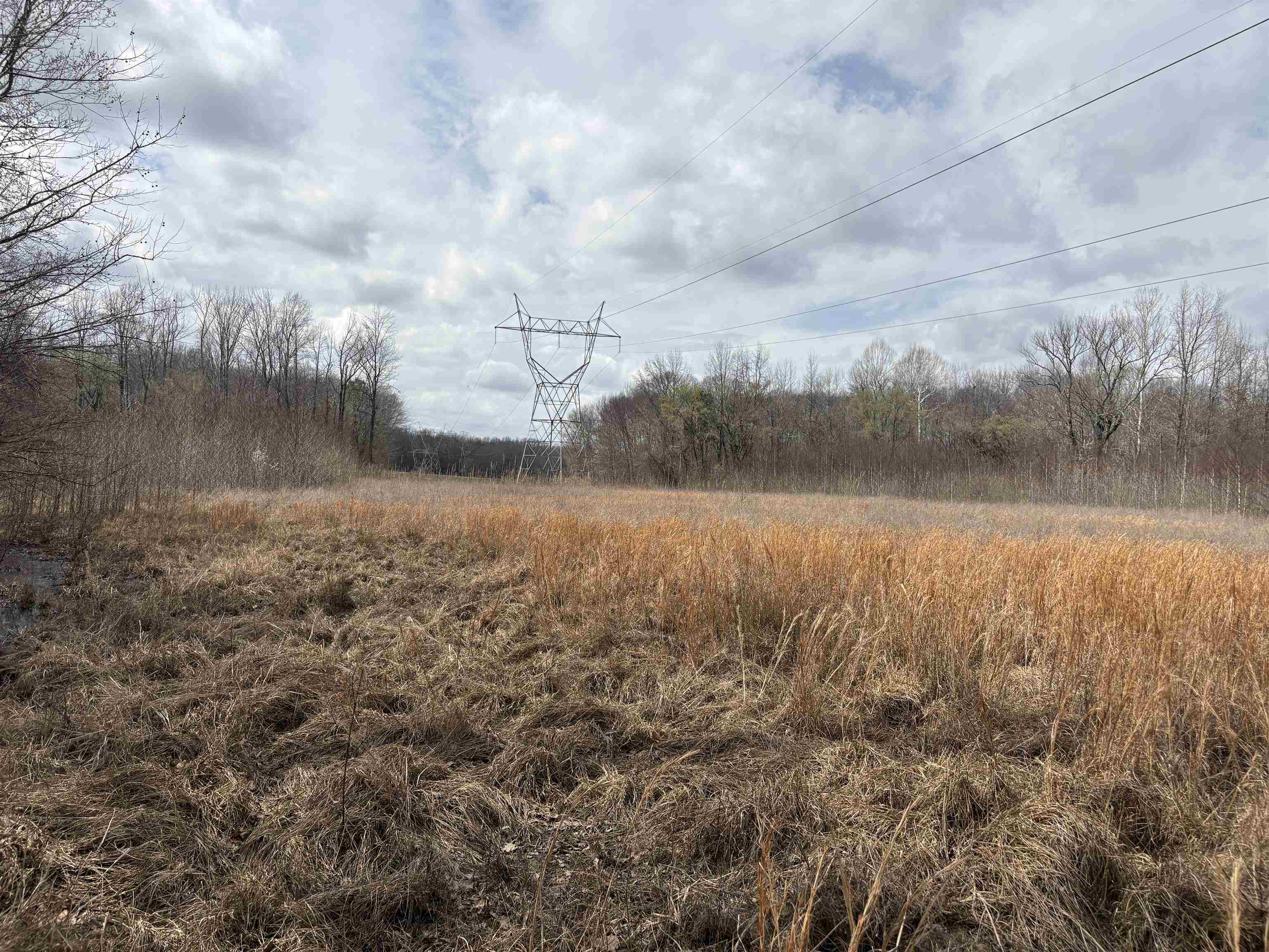 11338 Monterey Rd Property Photo 17