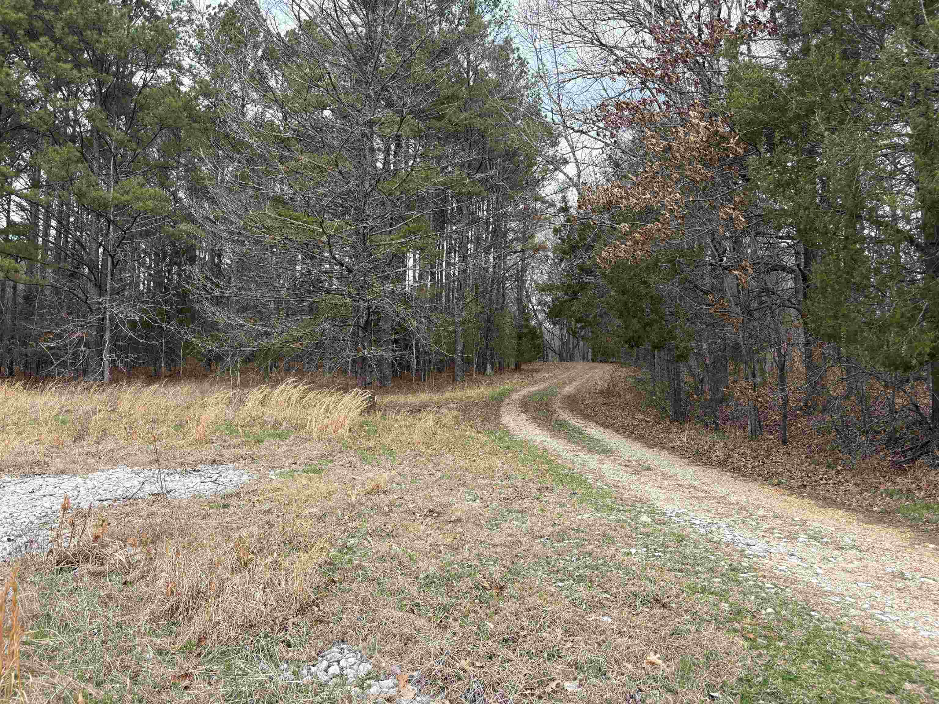 11338 Monterey Rd Property Photo 22