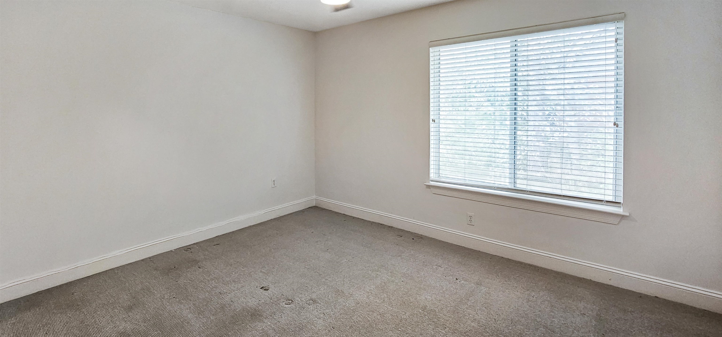7455 Germantown Sq Property Photo 12
