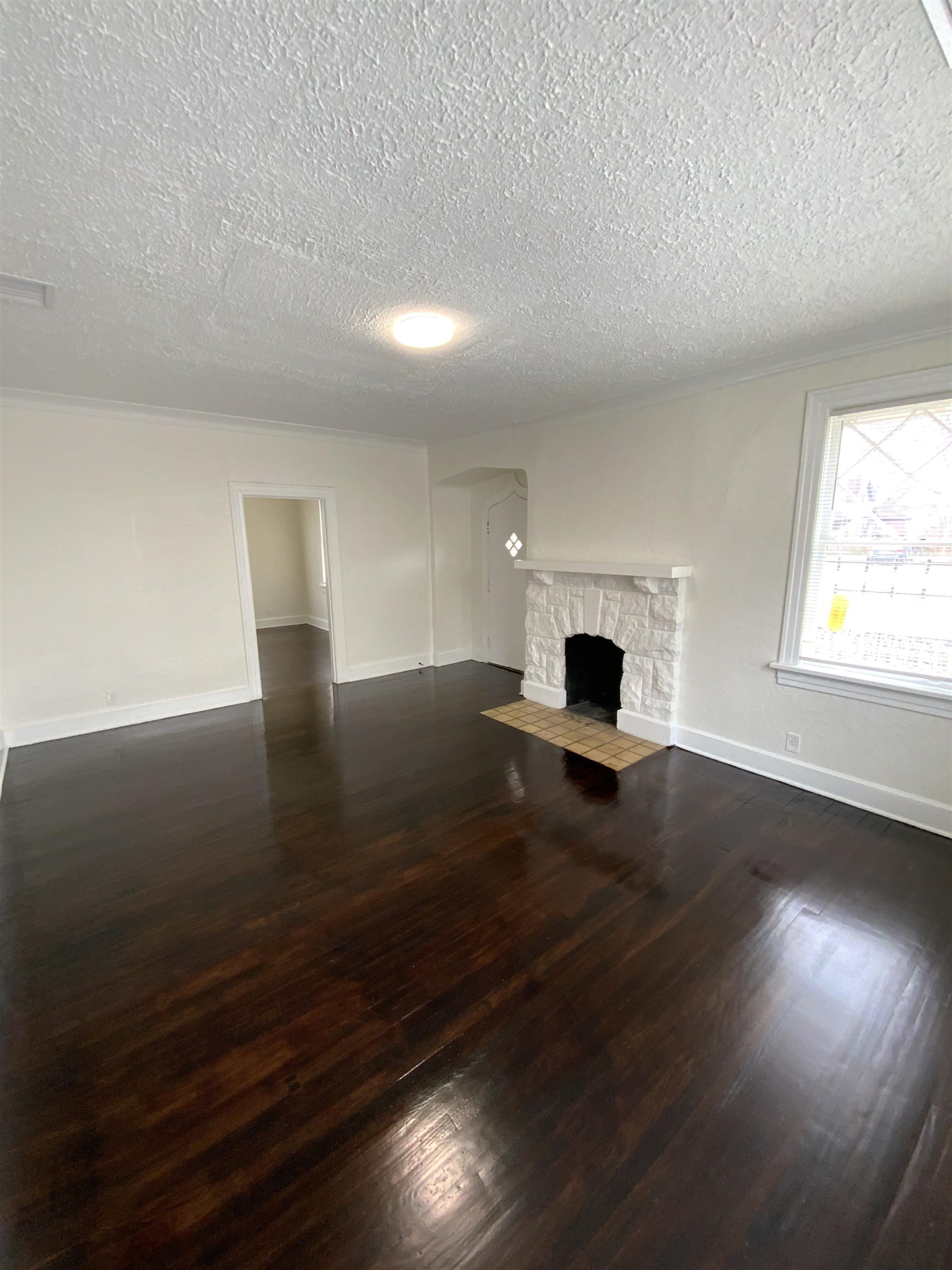 920 N Auburndale St Property Photo 5