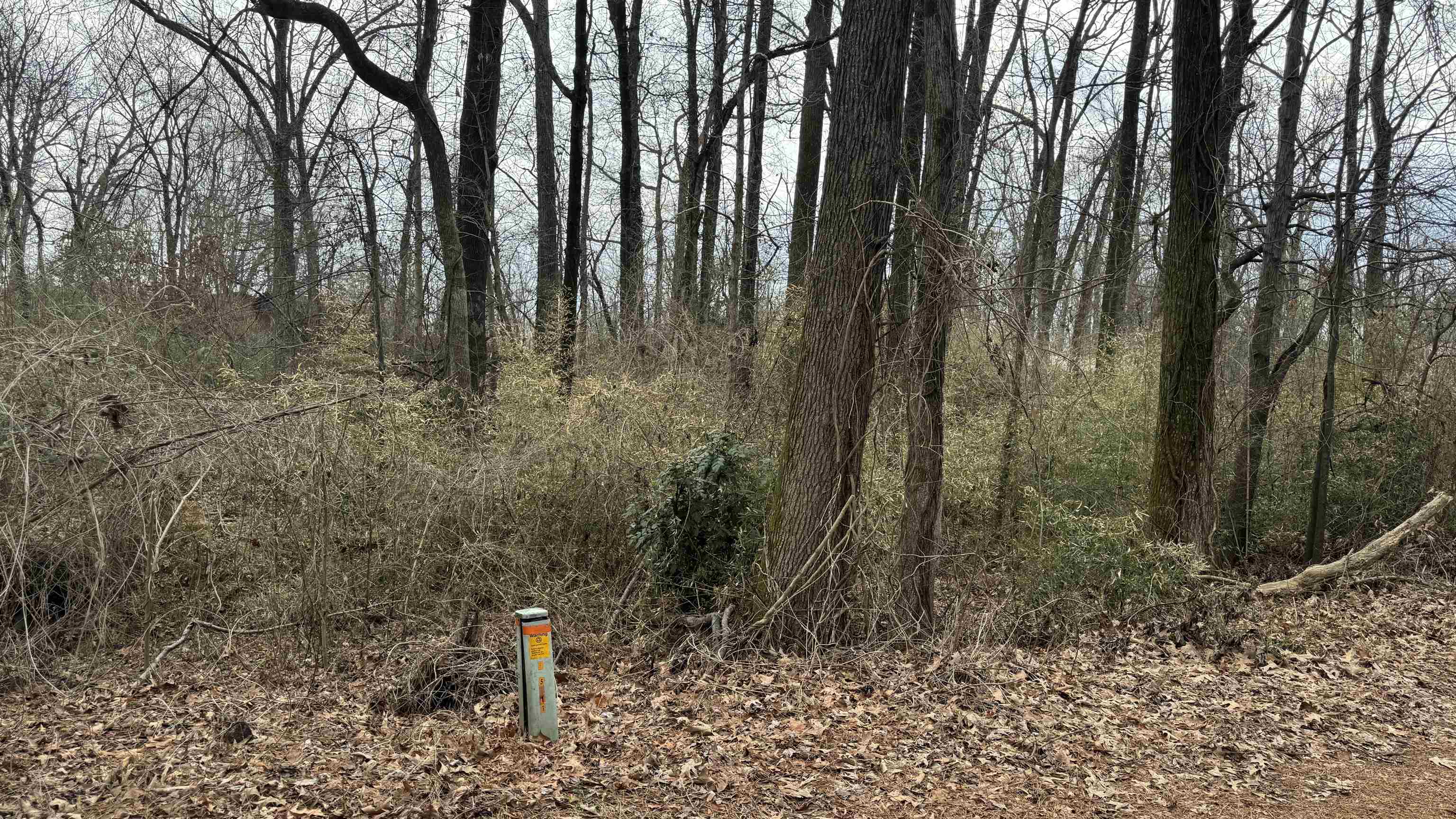 5711 Green Valley Rd Property Photo 5