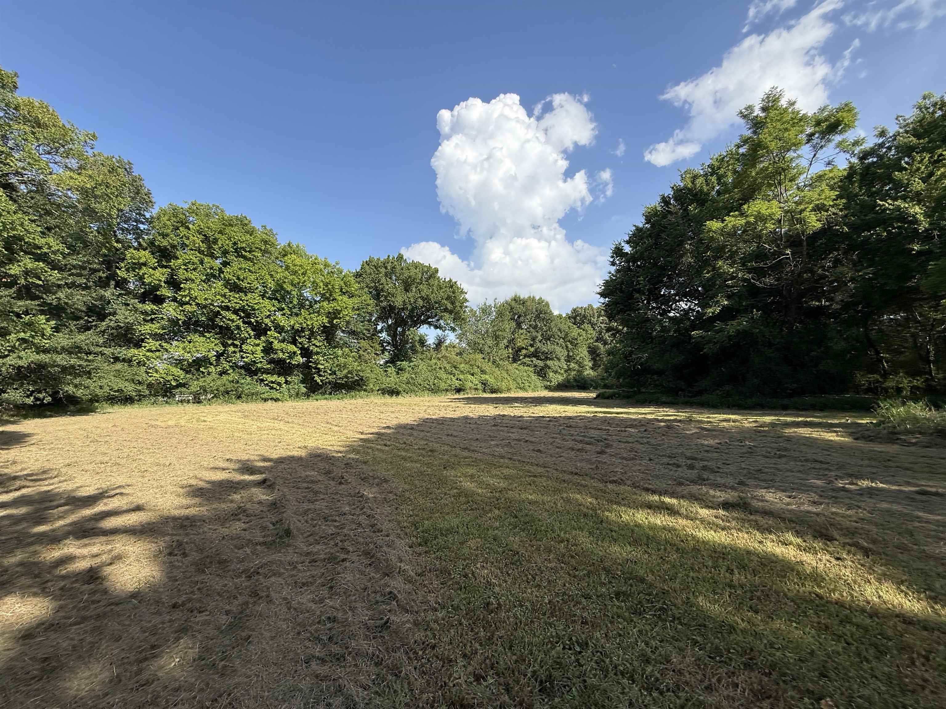 15680 64 Hwy Property Photo 28