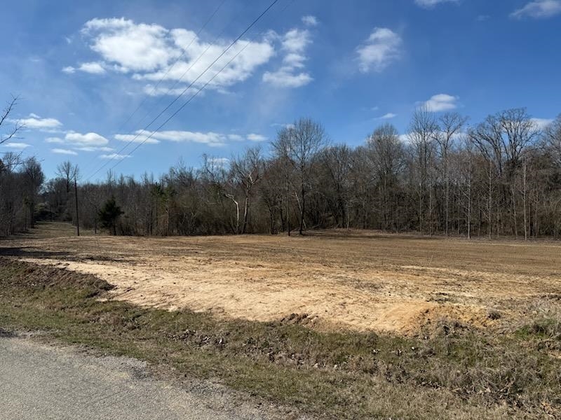 13 Acres Burnette Rd Property Photo 7
