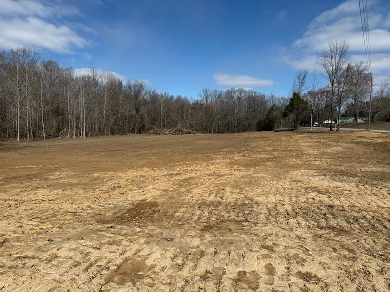 13 Acres Burnette Rd Property Photo 8