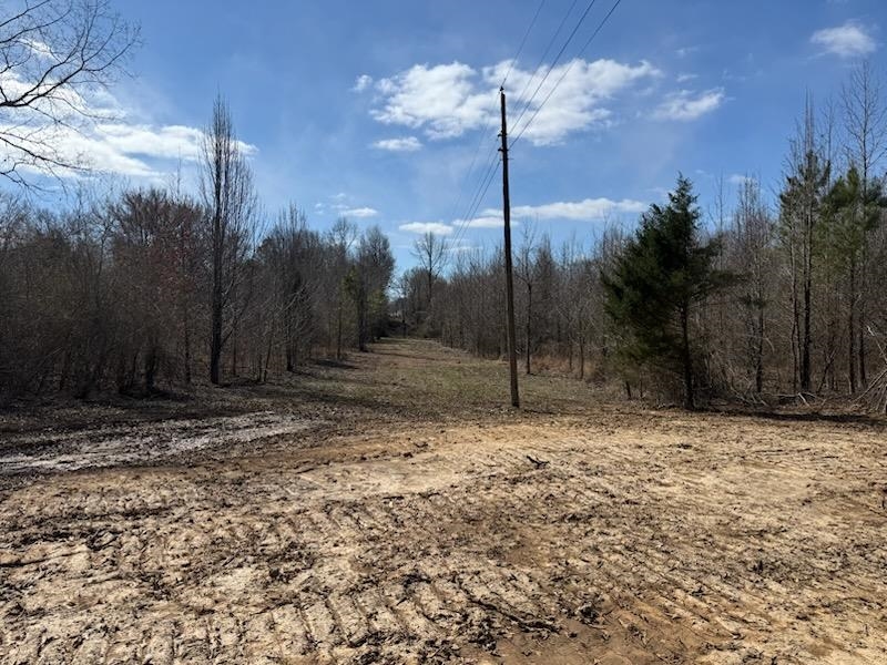 13 Acres Burnette Rd Property Photo 9