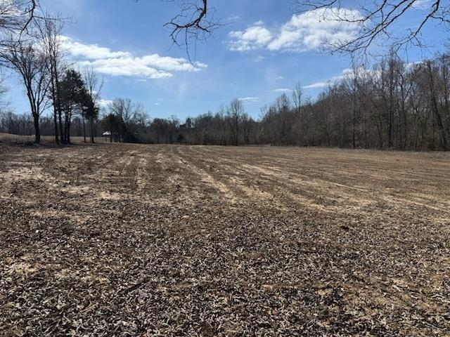 13 Acres Burnette Rd Property Photo 10