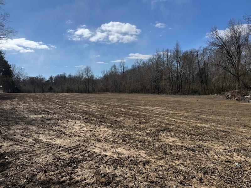 13 Acres Burnette Rd Property Photo 11