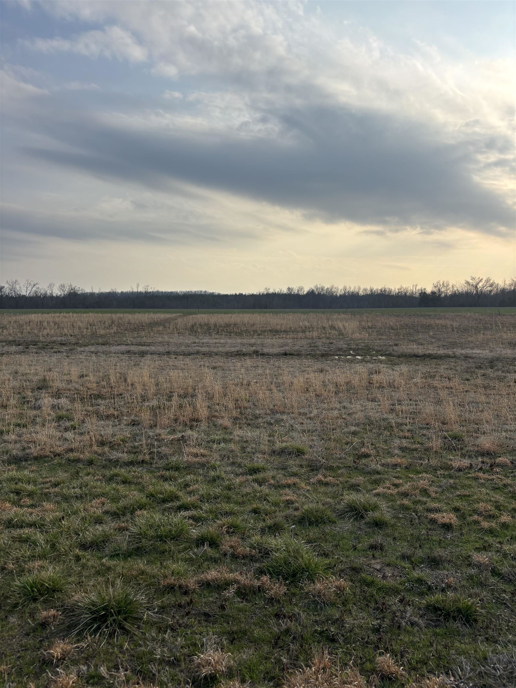 0 Dancing Eagle Ln Lot 58 Property Photo 18