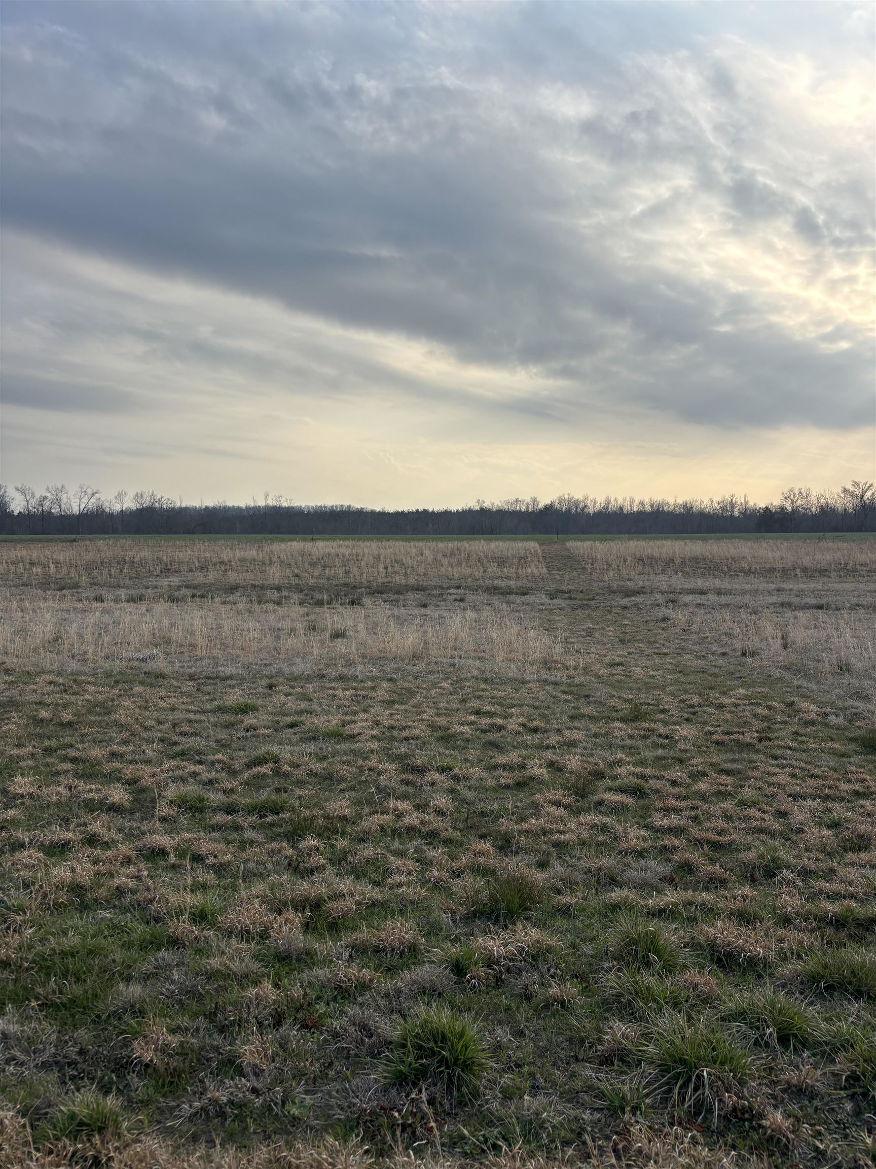 0 Dancing Eagle Ln Lot 58 Property Photo 19