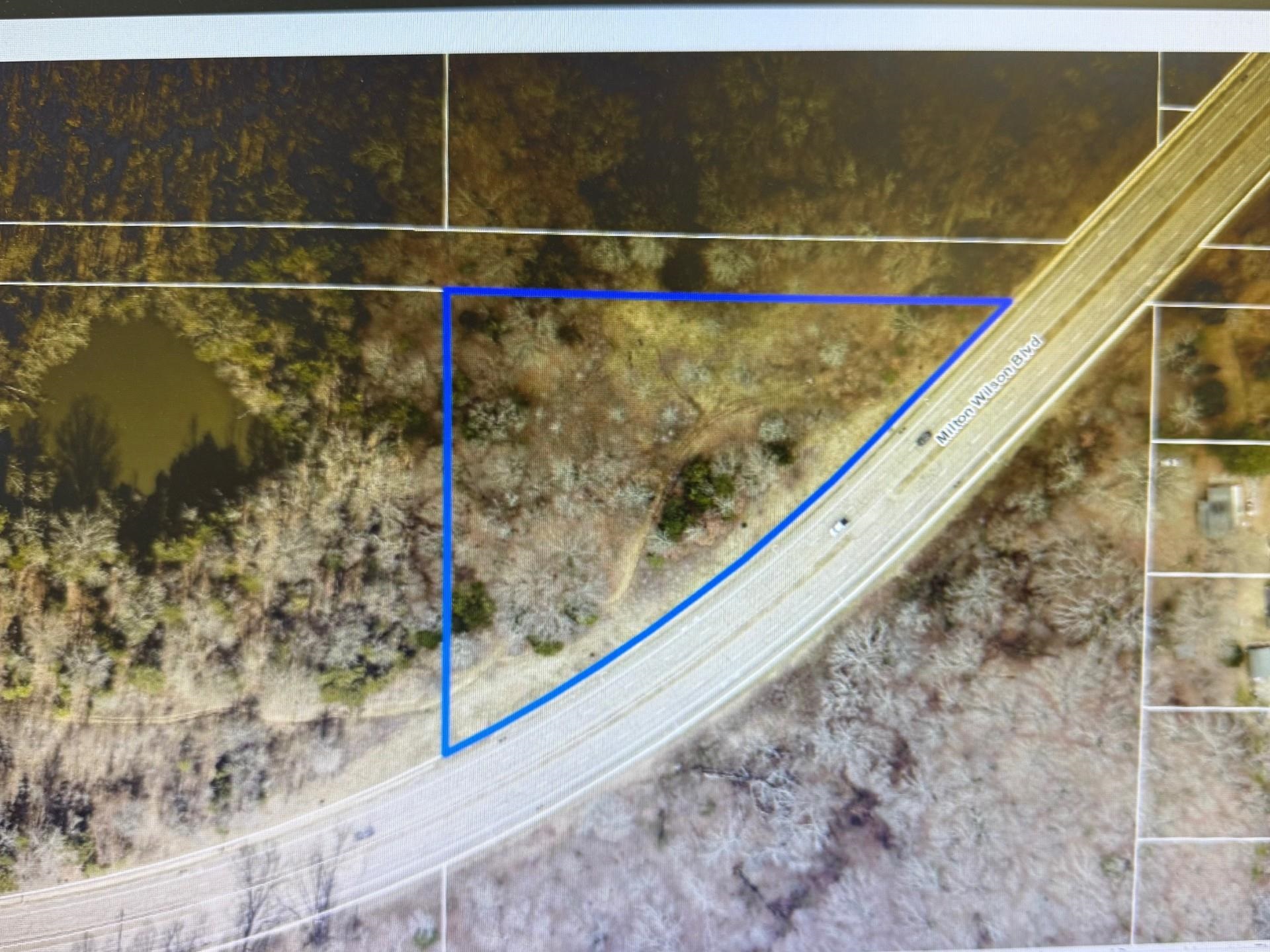 0 Milton Wilson Rd Property Photo 1