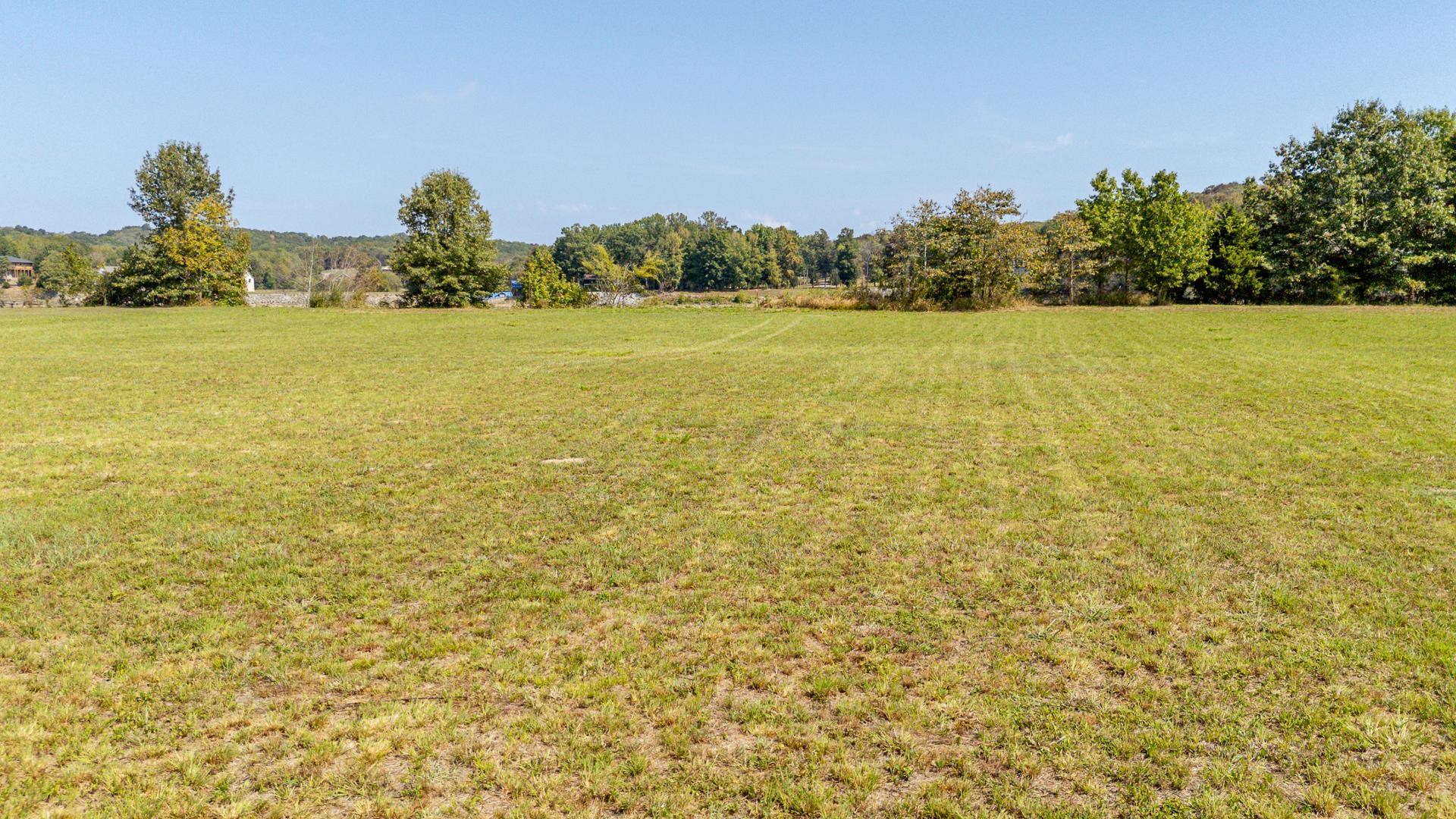0 DANCING EAGLE LN LOT 59 Property Photo 1