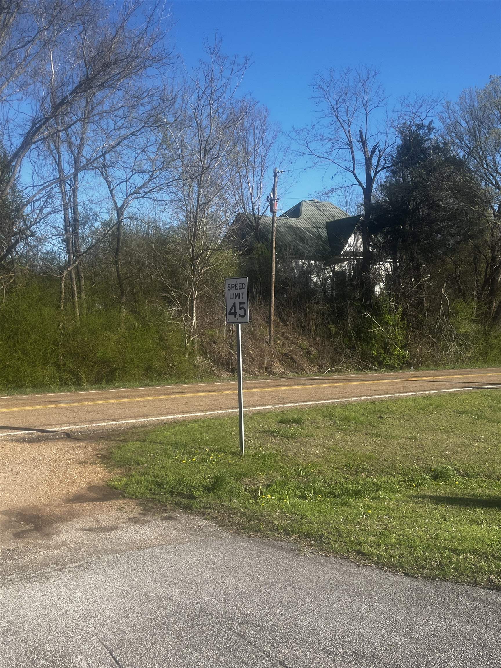 Dancyville Rd Property Photo 3