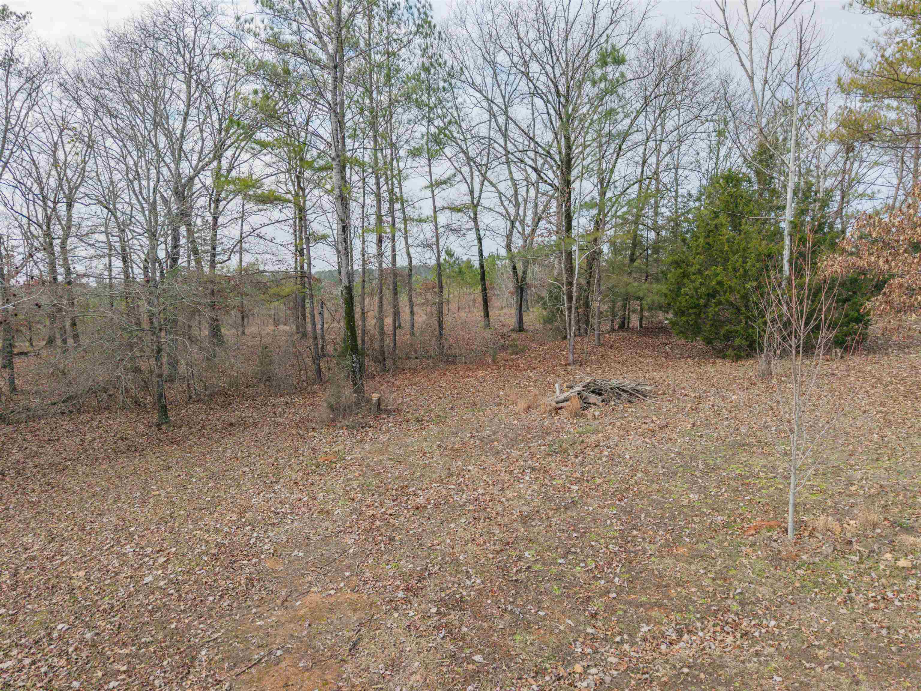 59 Ty Ln Property Photo 11