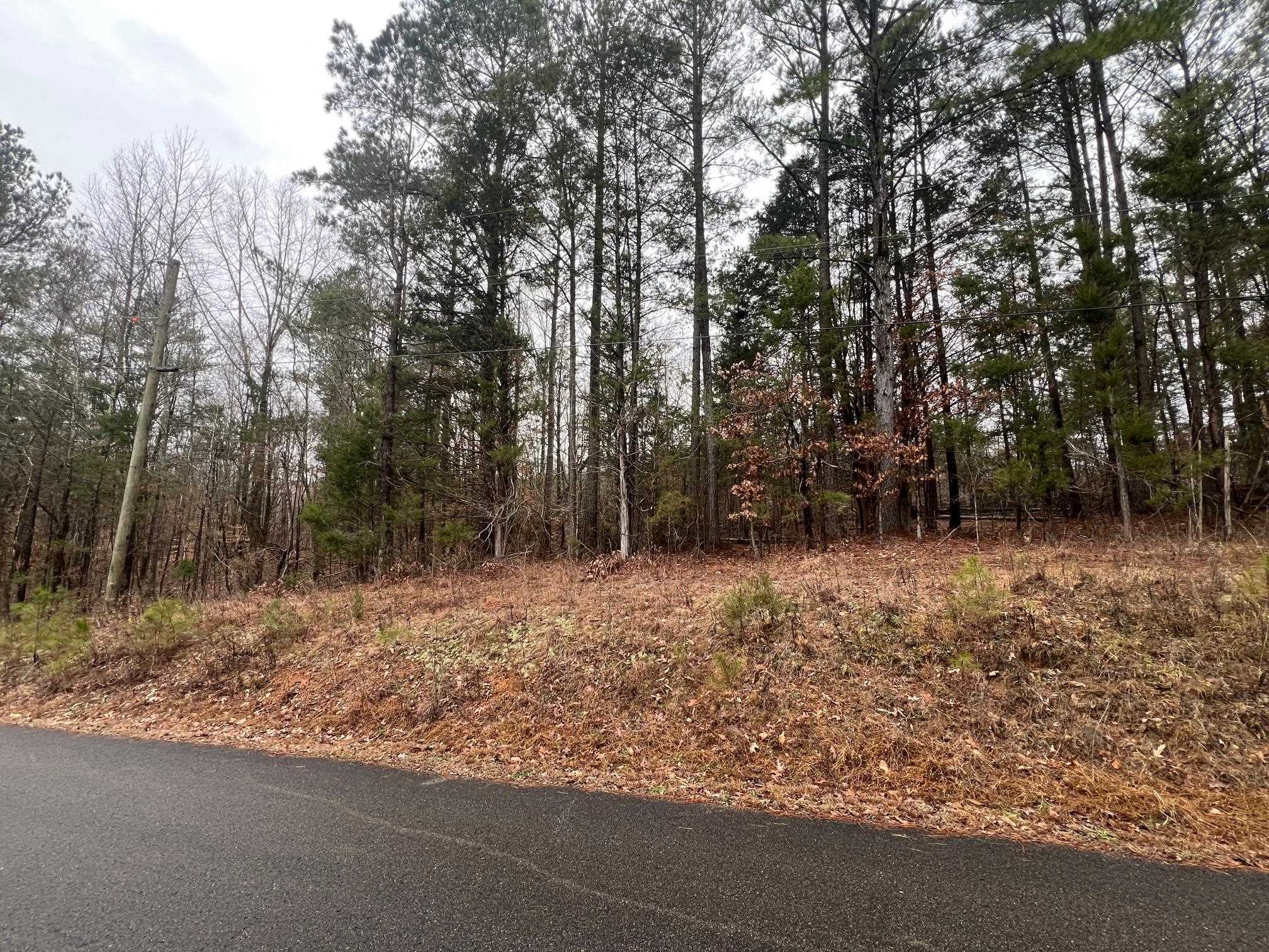 156 Iron Horse Trl Property Photo 2