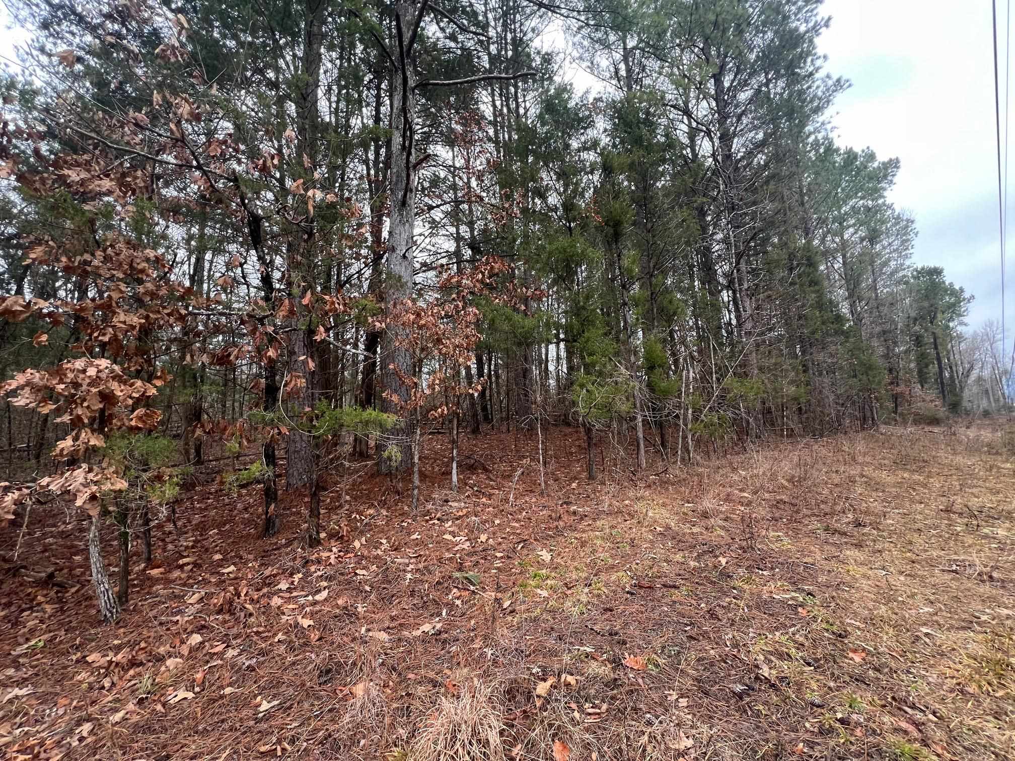156 Iron Horse Trl Property Photo 3