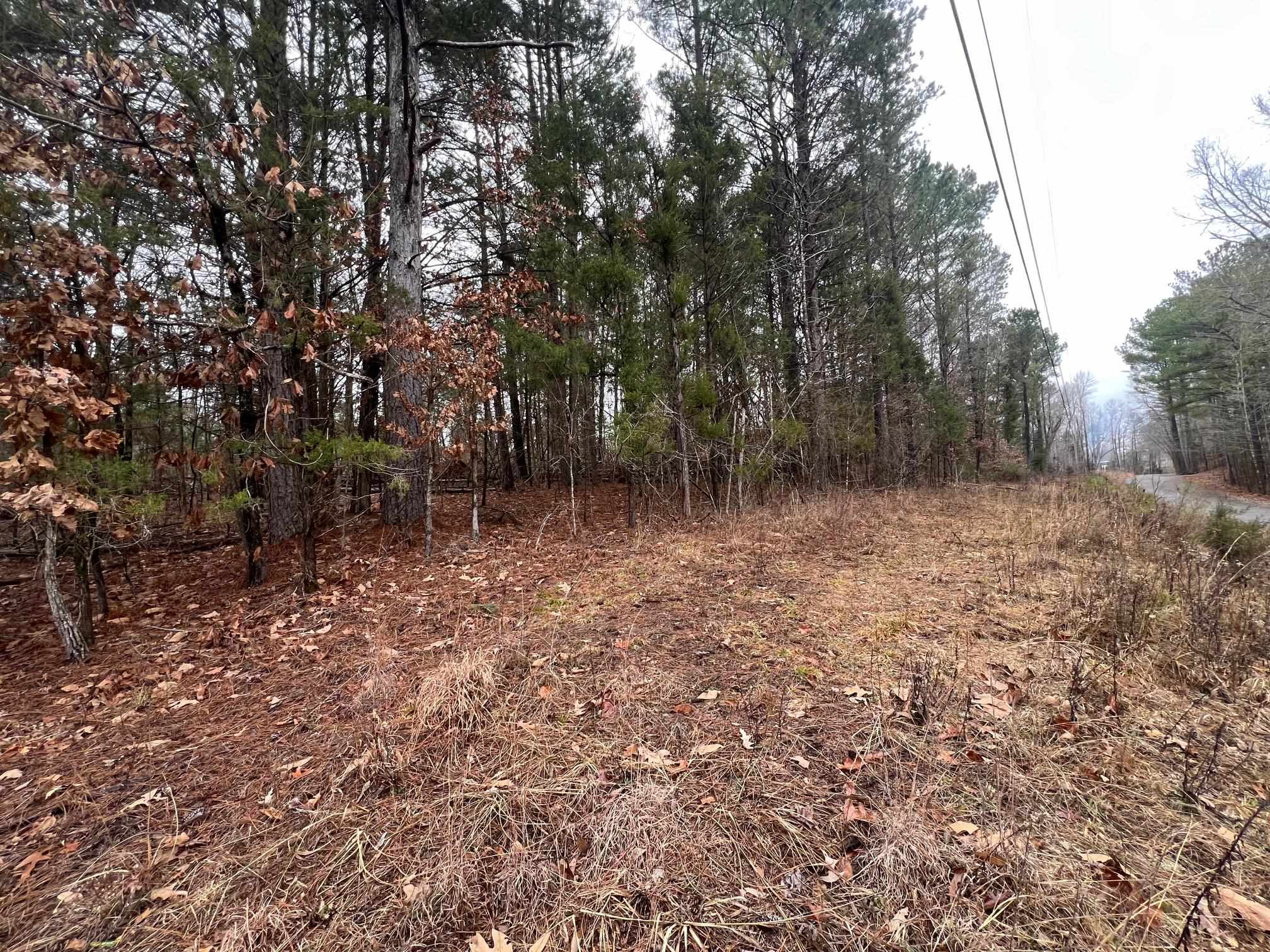 156 Iron Horse Trl Property Photo 5