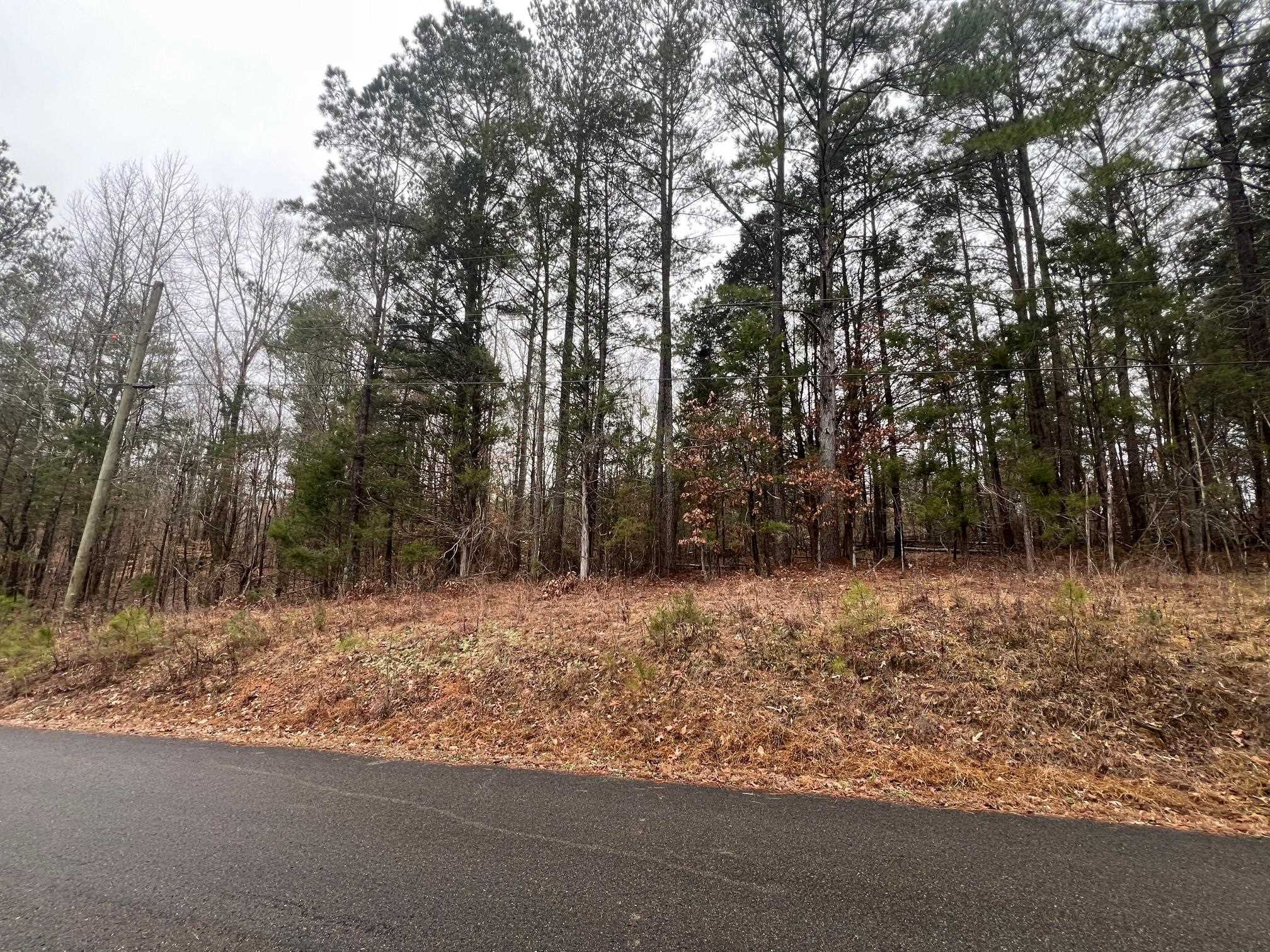156 Iron Horse Trl Property Photo 6