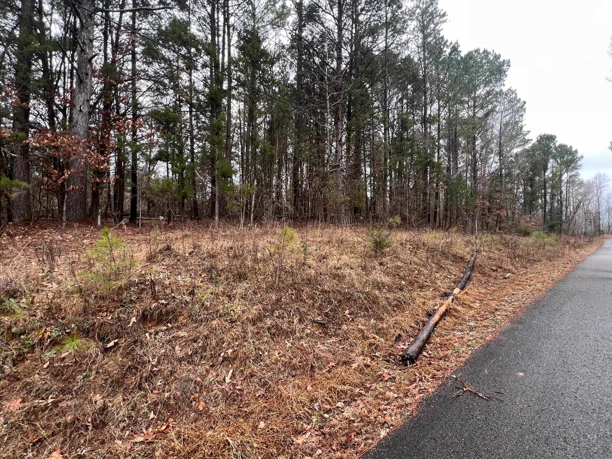 156 Iron Horse Trl Property Photo 7