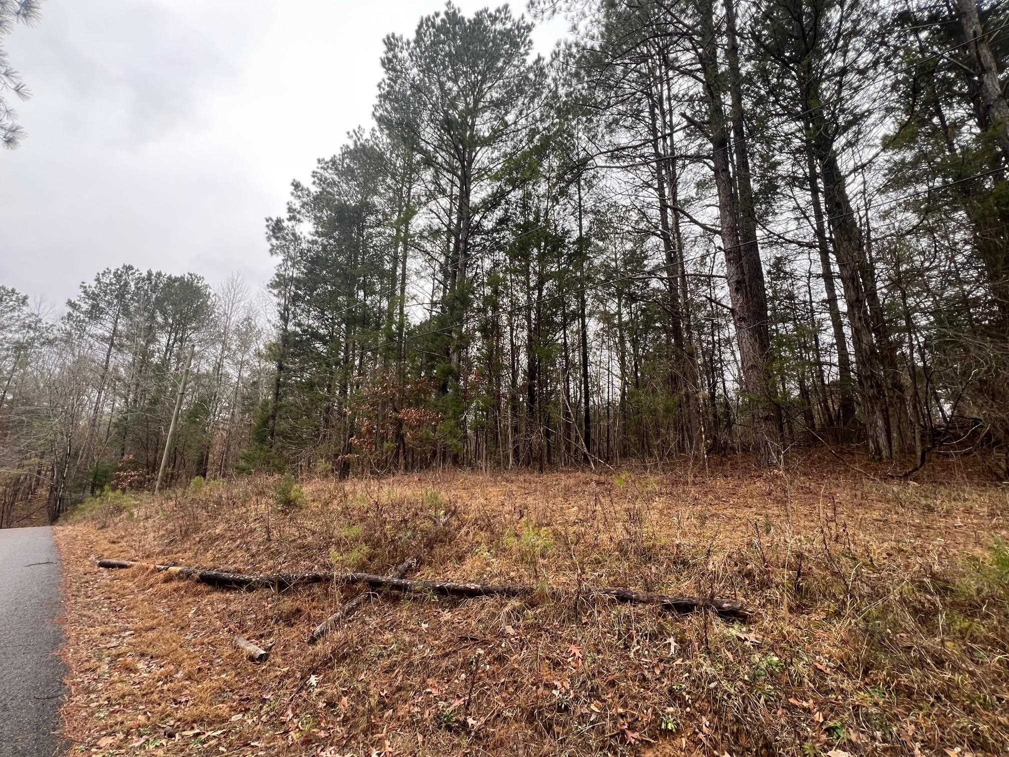 156 Iron Horse Trl Property Photo 8