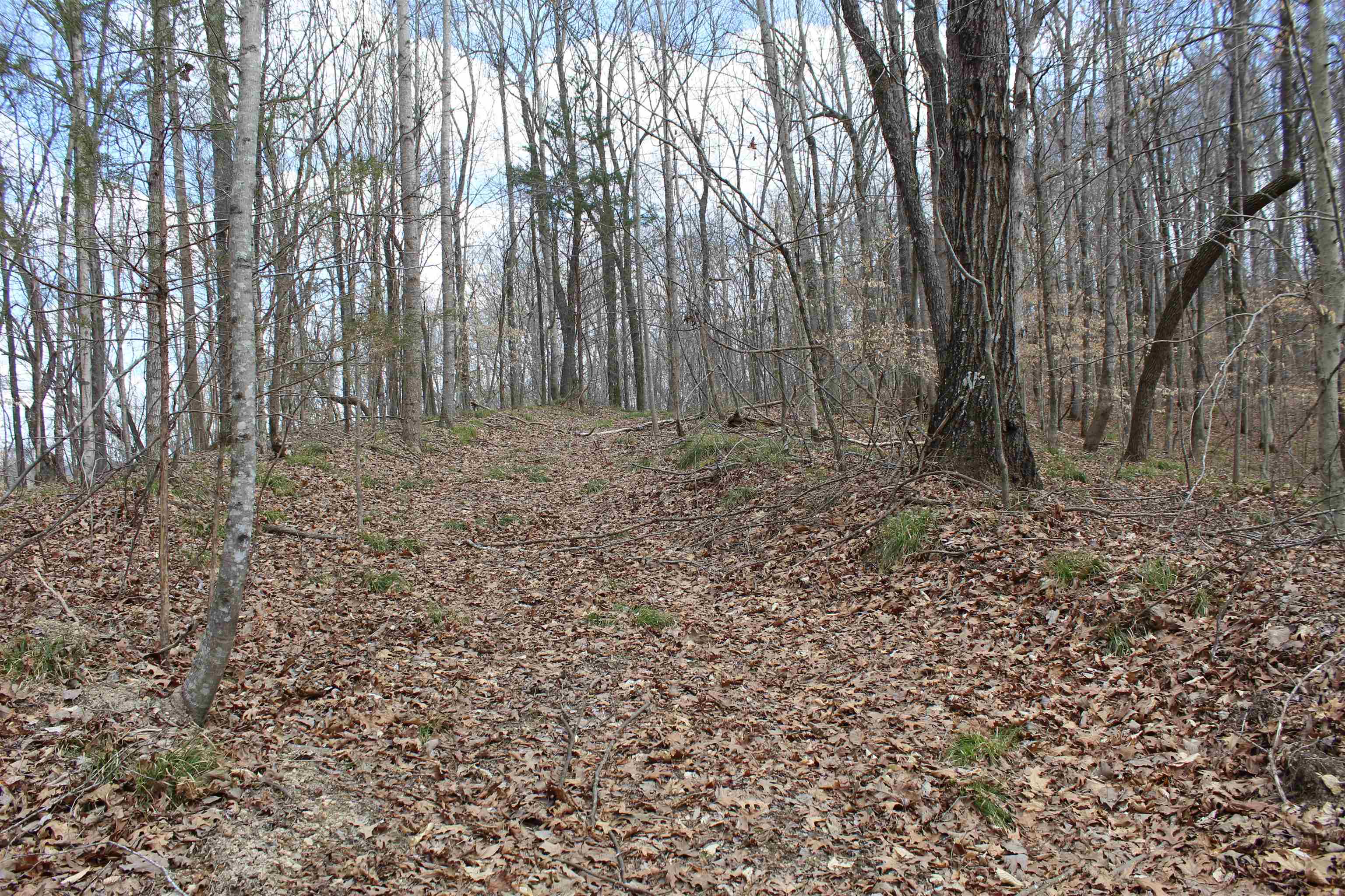3842 Waterfall Creek Rd Property Photo 2