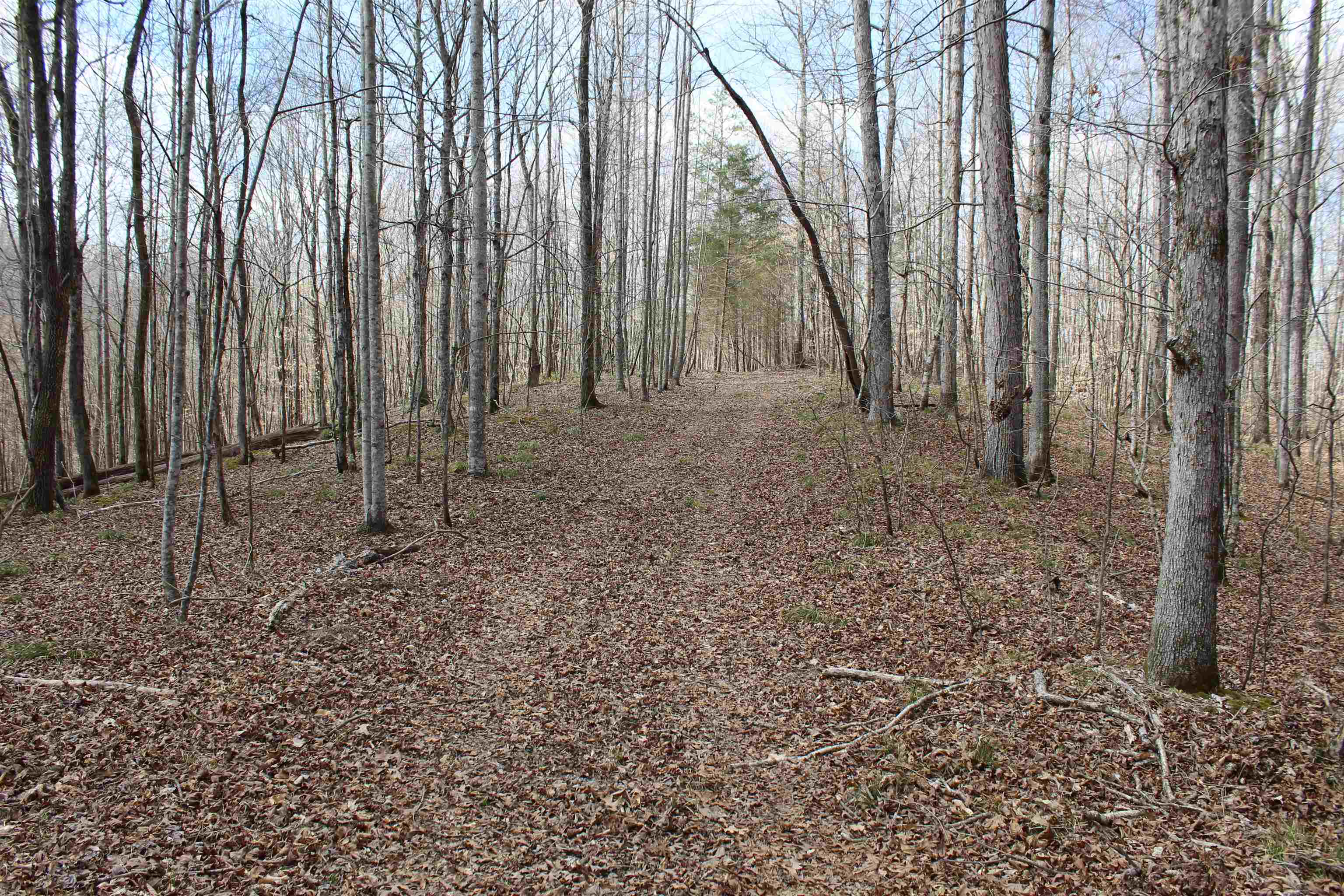3842 Waterfall Creek Rd Property Photo 5