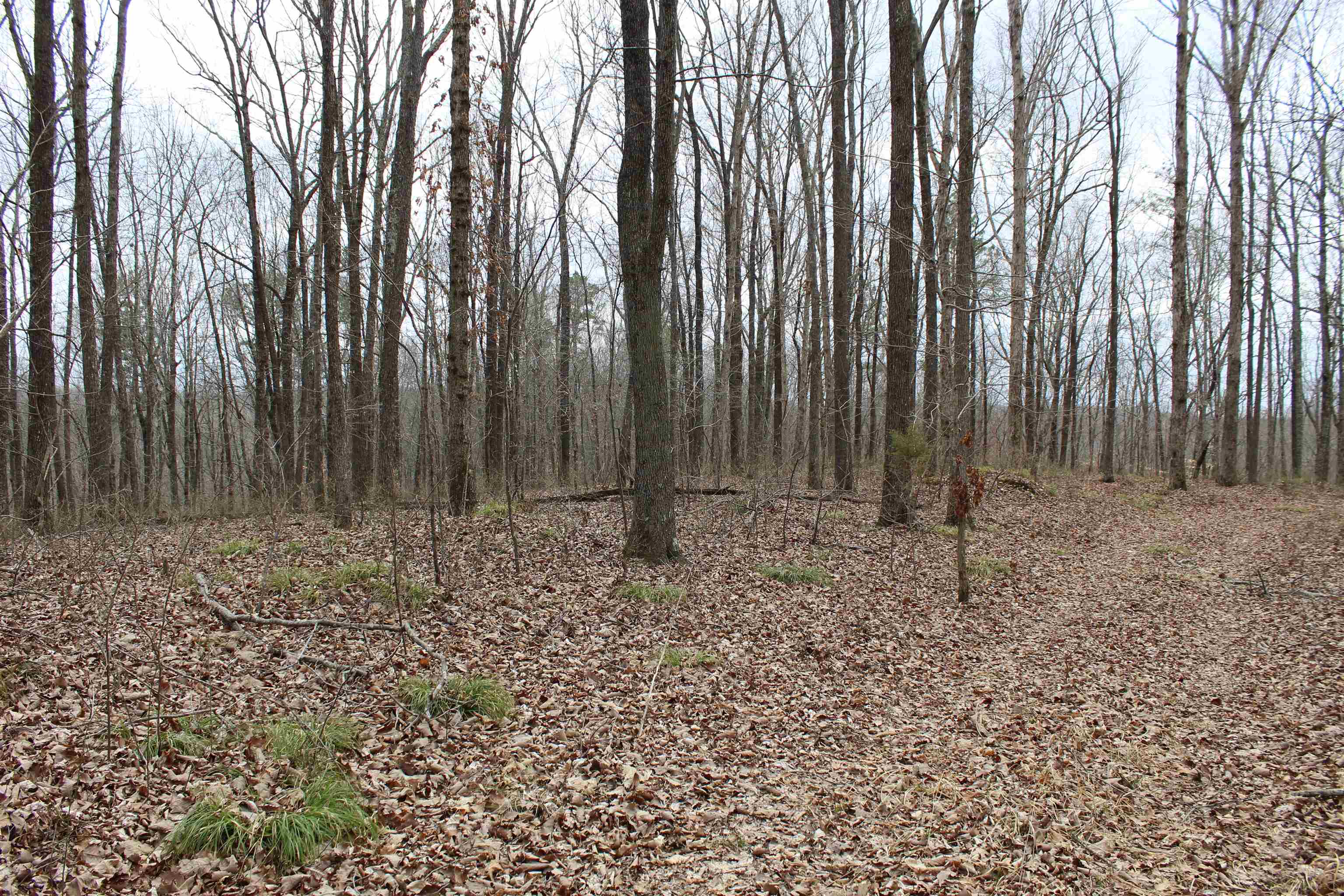 3842 Waterfall Creek Rd Property Photo 12