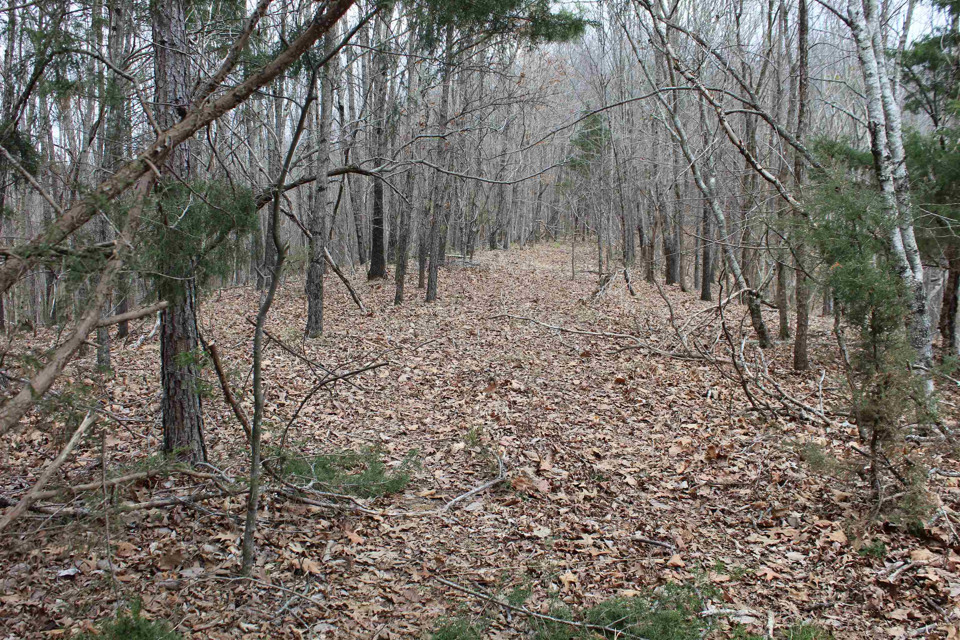3842 Waterfall Creek Rd Property Photo 16