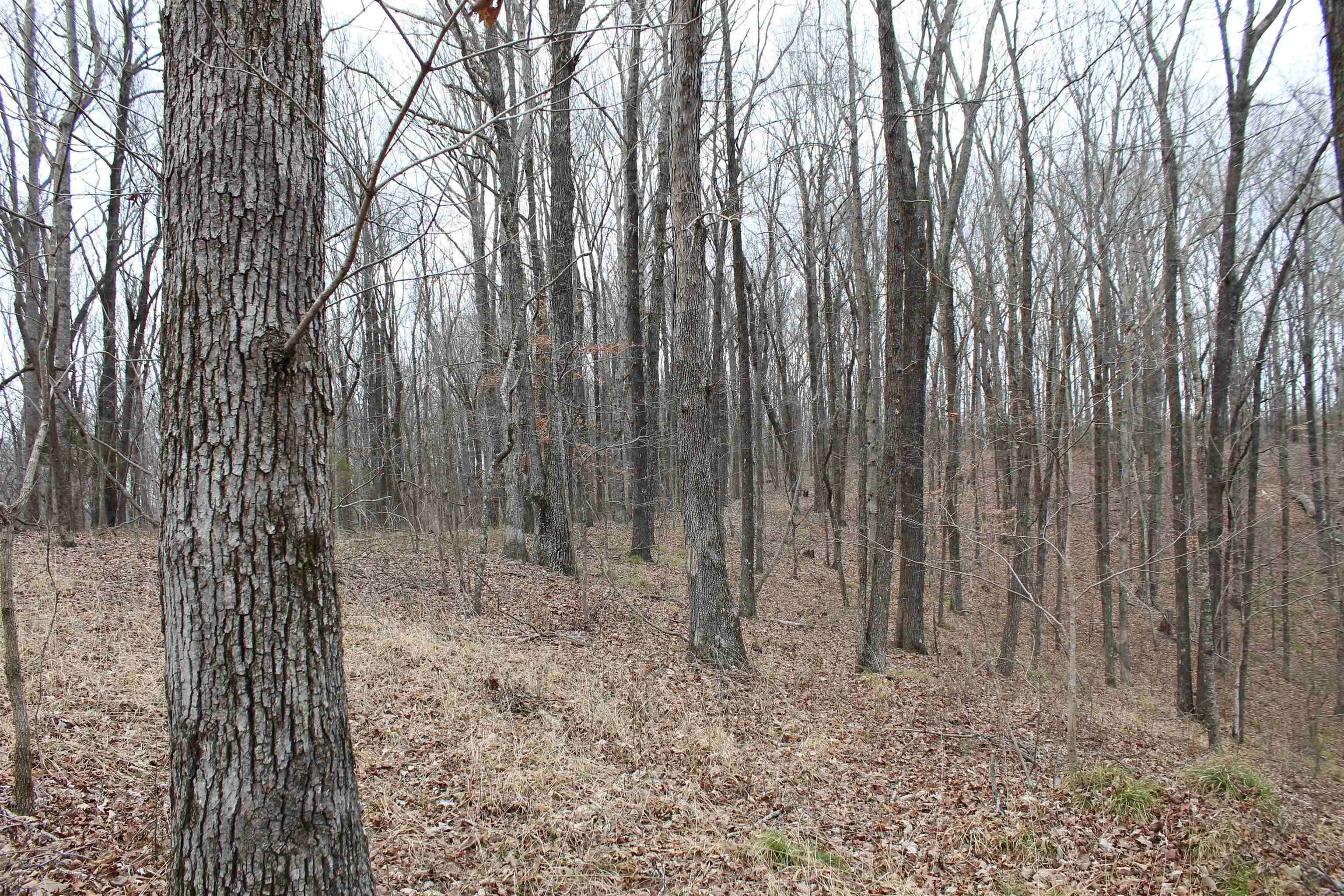 3842 Waterfall Creek Rd Property Photo 20