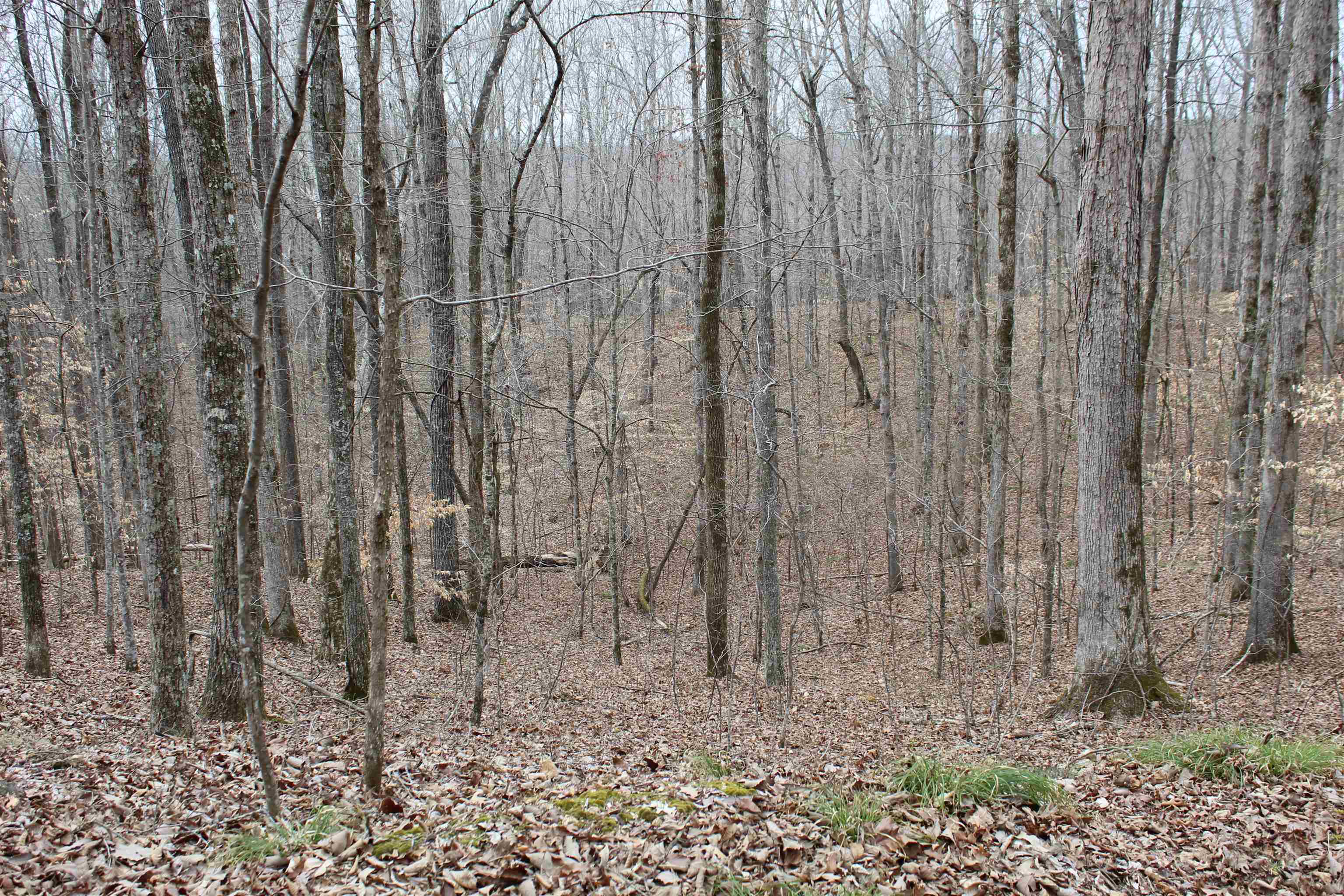 3842 Waterfall Creek Rd Property Photo 24