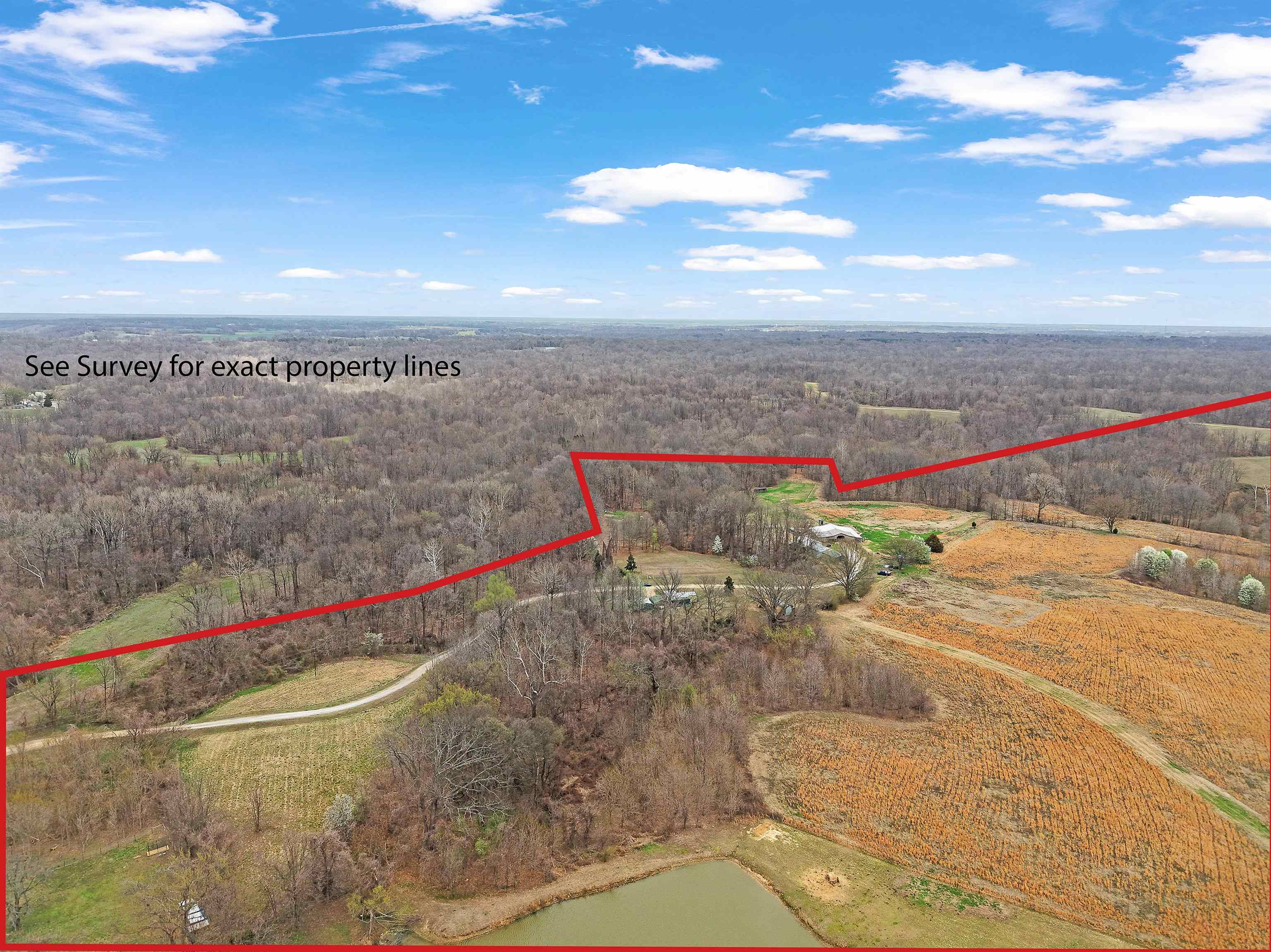 710 Porters Gap Rd Property Photo 12