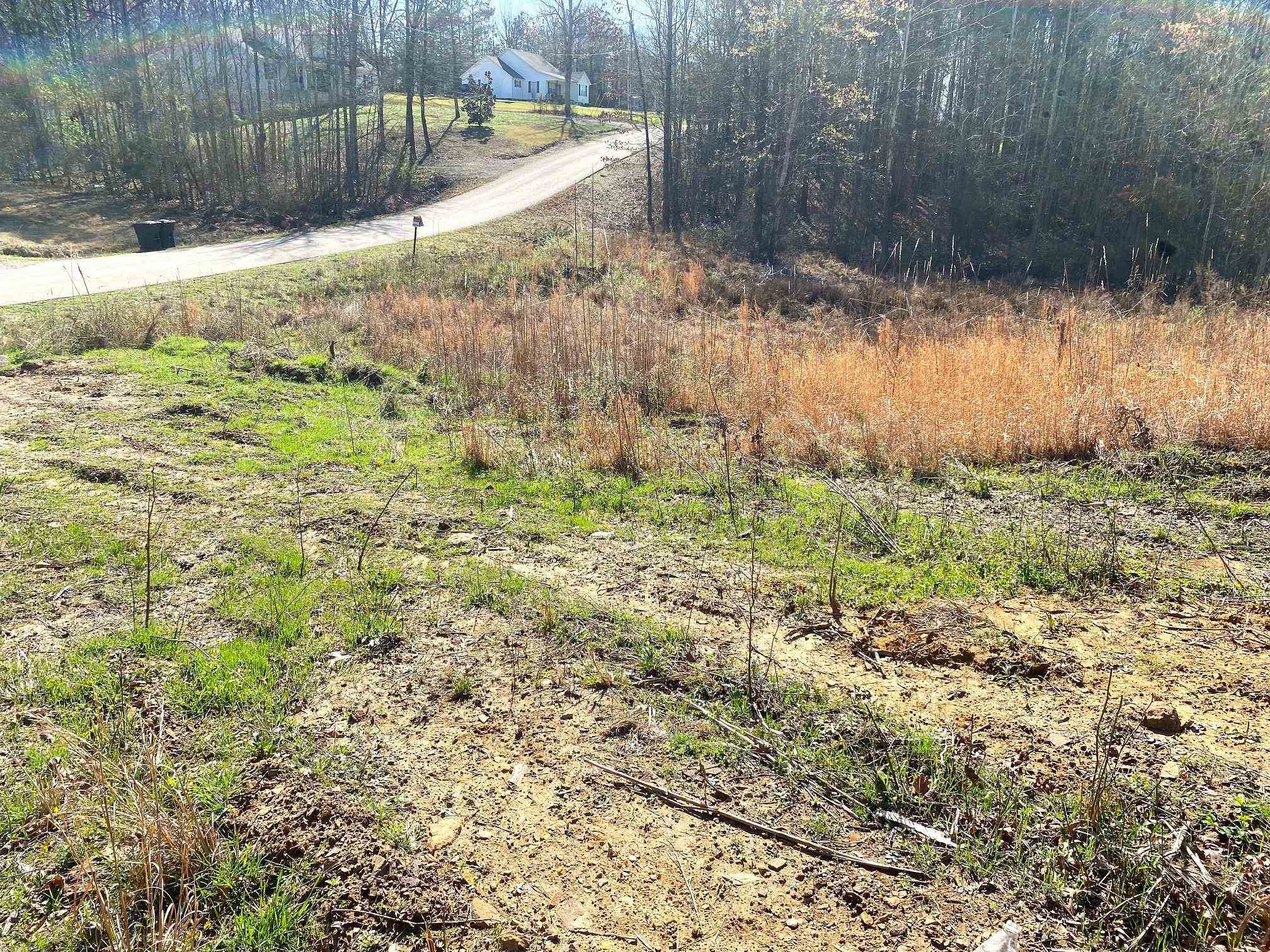 65 Amelia Briann Dr Property Photo 4