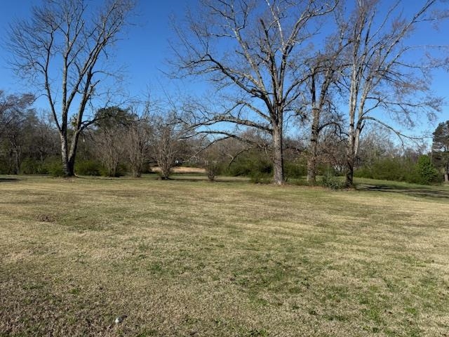 1019 Pickwick St Property Photo 2