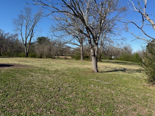 1019 Pickwick St Property Photo 4