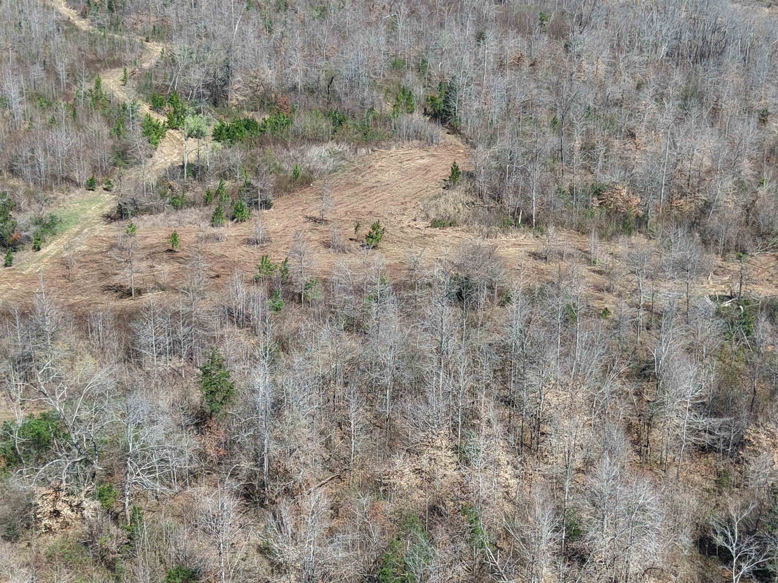 00 Van Buren Rd Property Photo 7