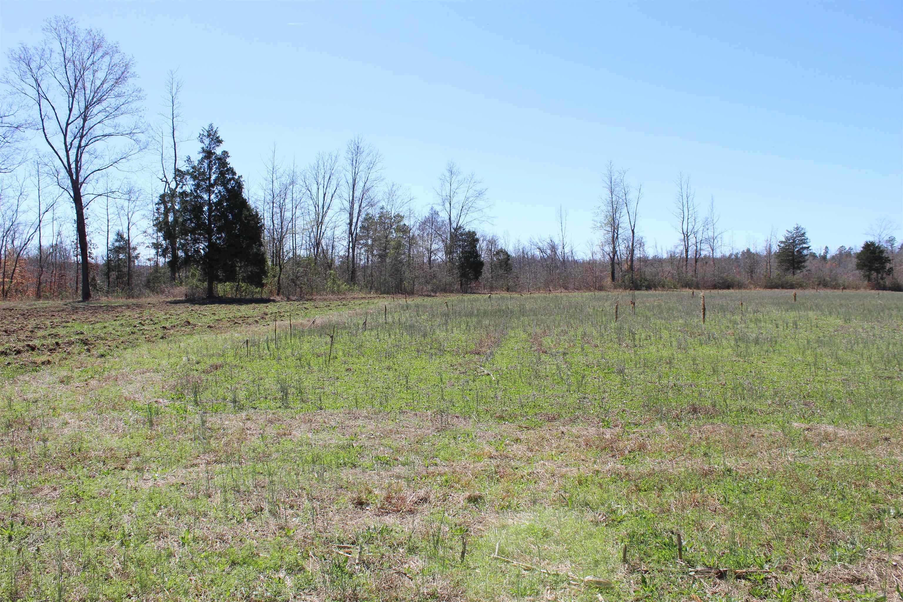 00 Van Buren Rd Property Photo 12
