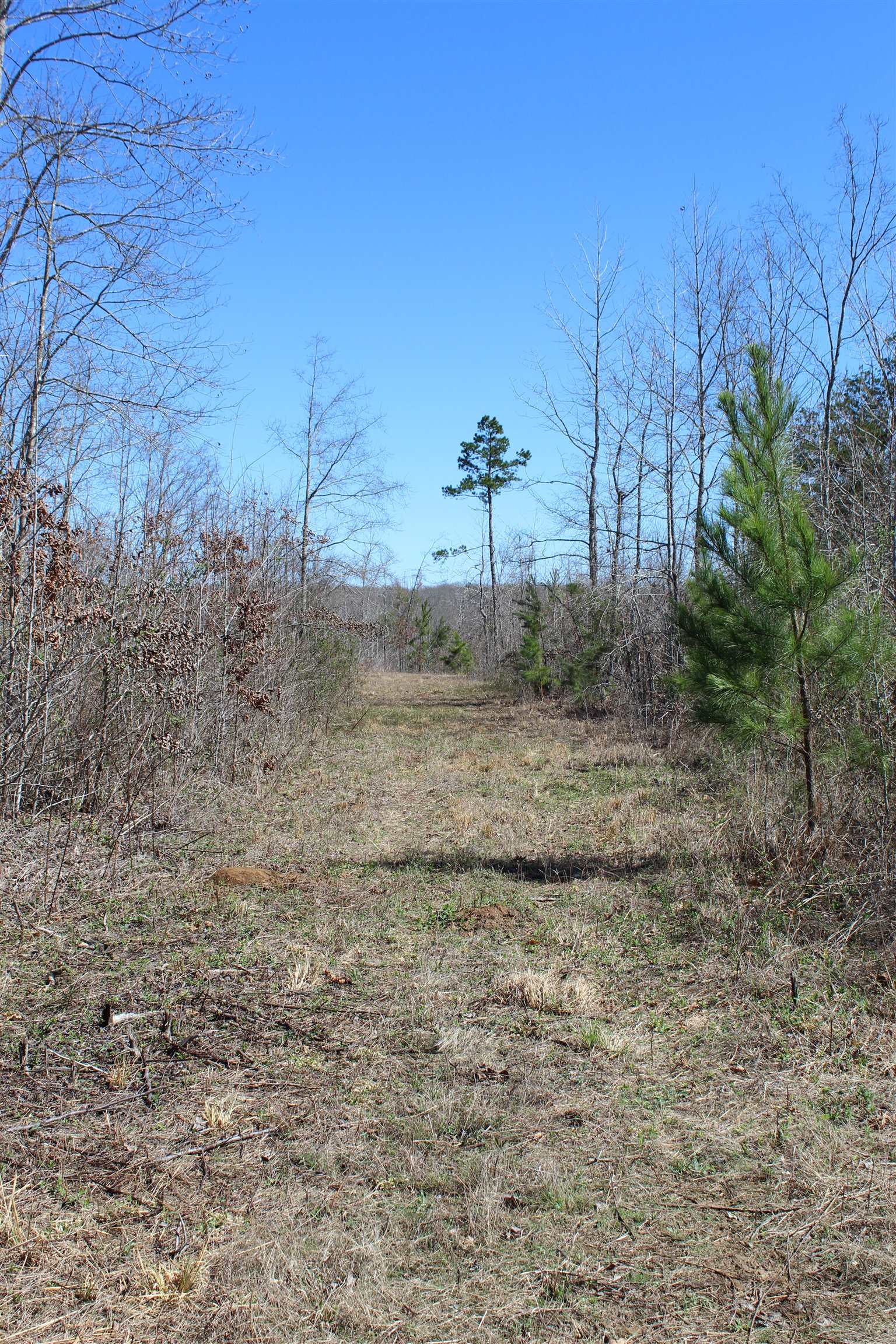 00 Van Buren Rd Property Photo 13