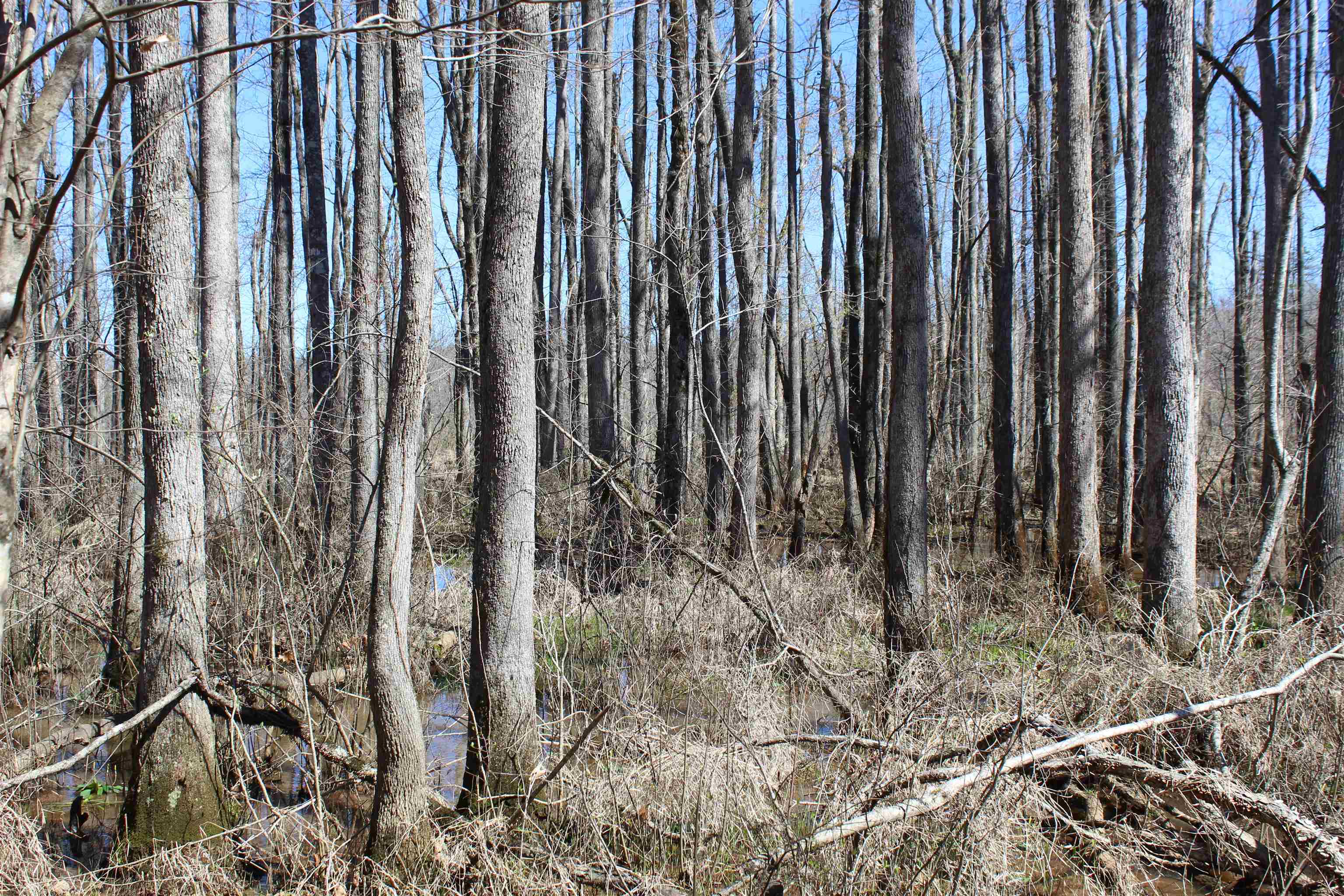 00 Van Buren Rd Property Photo 14
