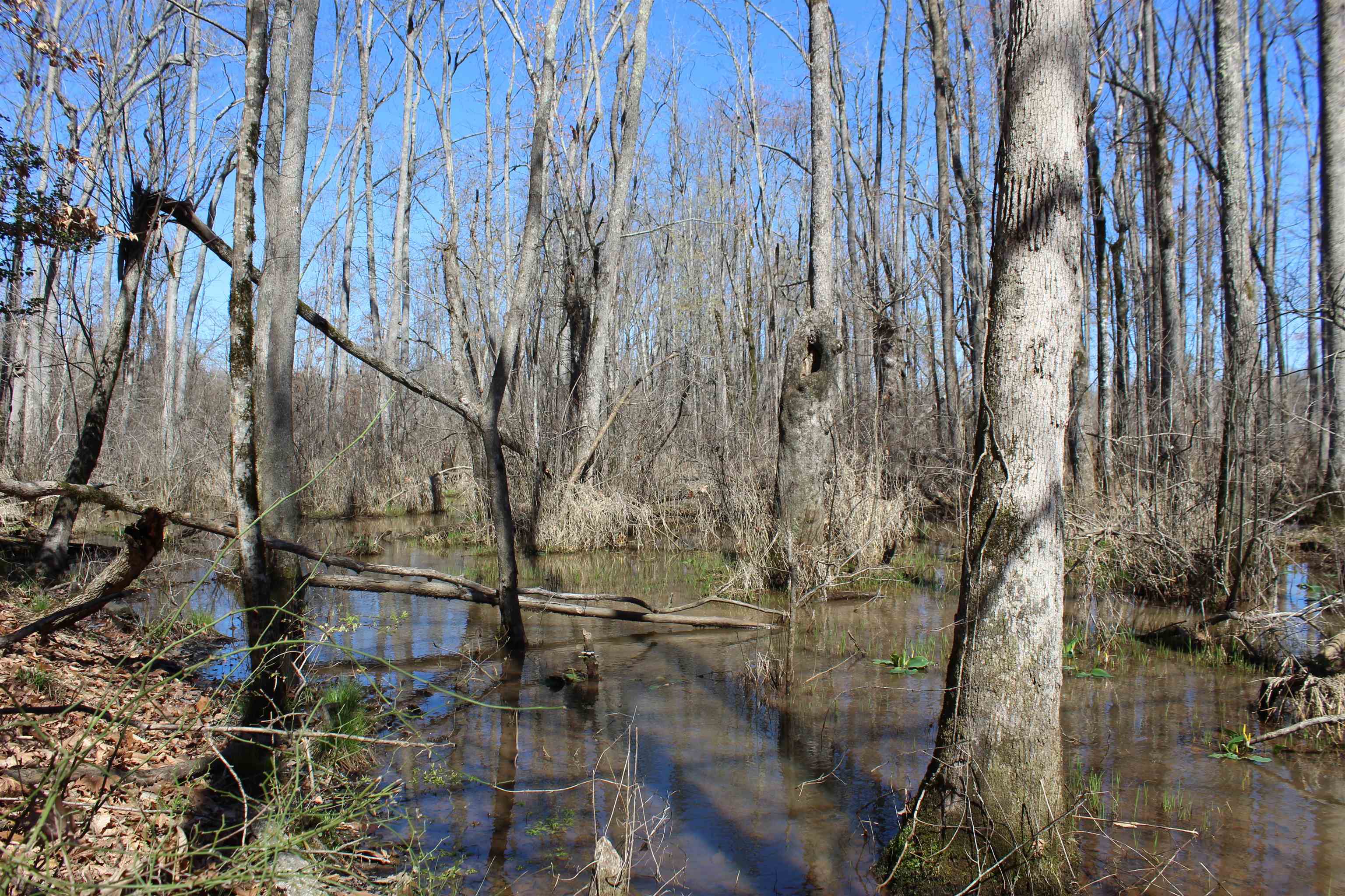 00 Van Buren Rd Property Photo 15