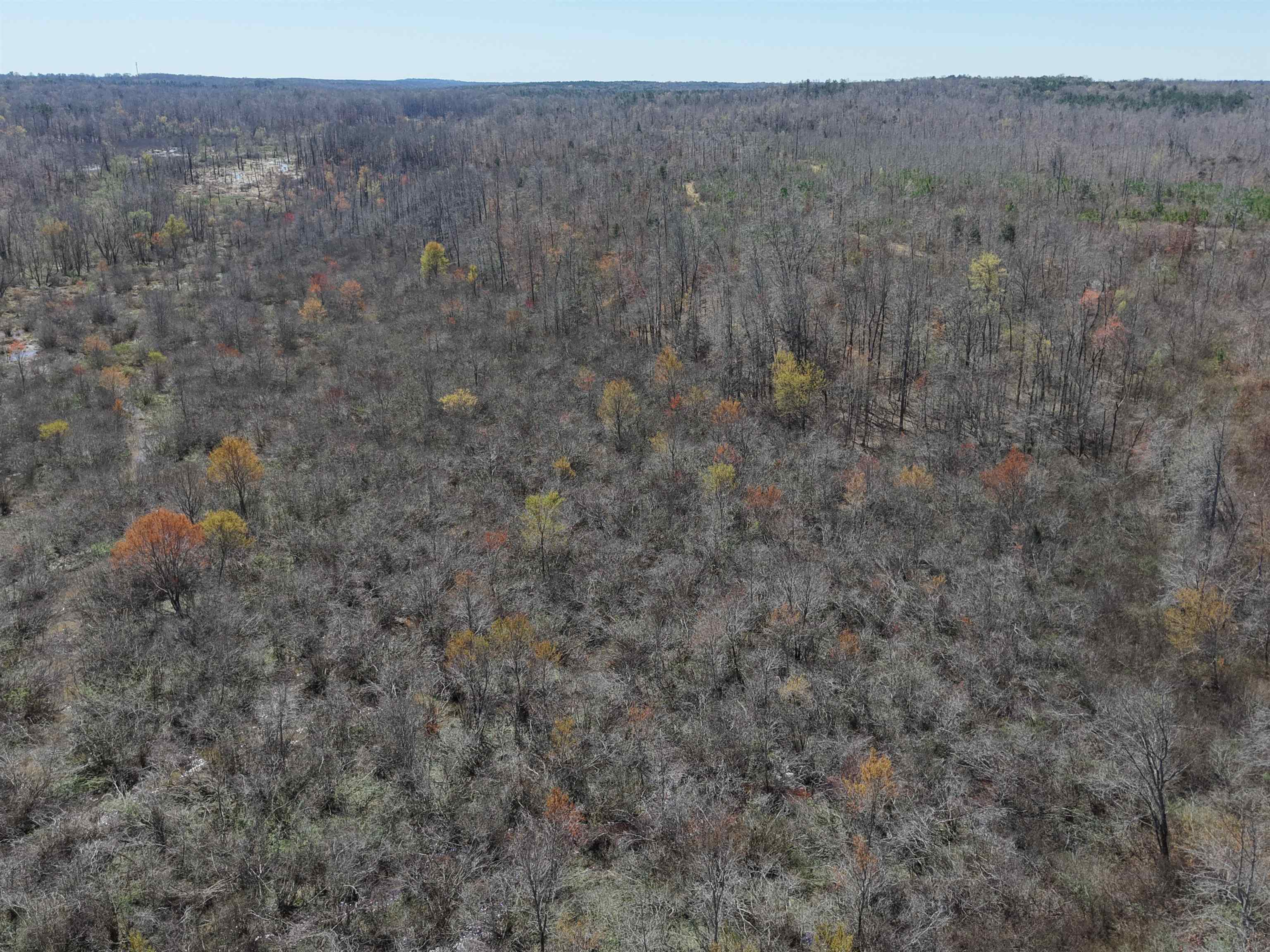 00 Van Buren Rd Property Photo 21