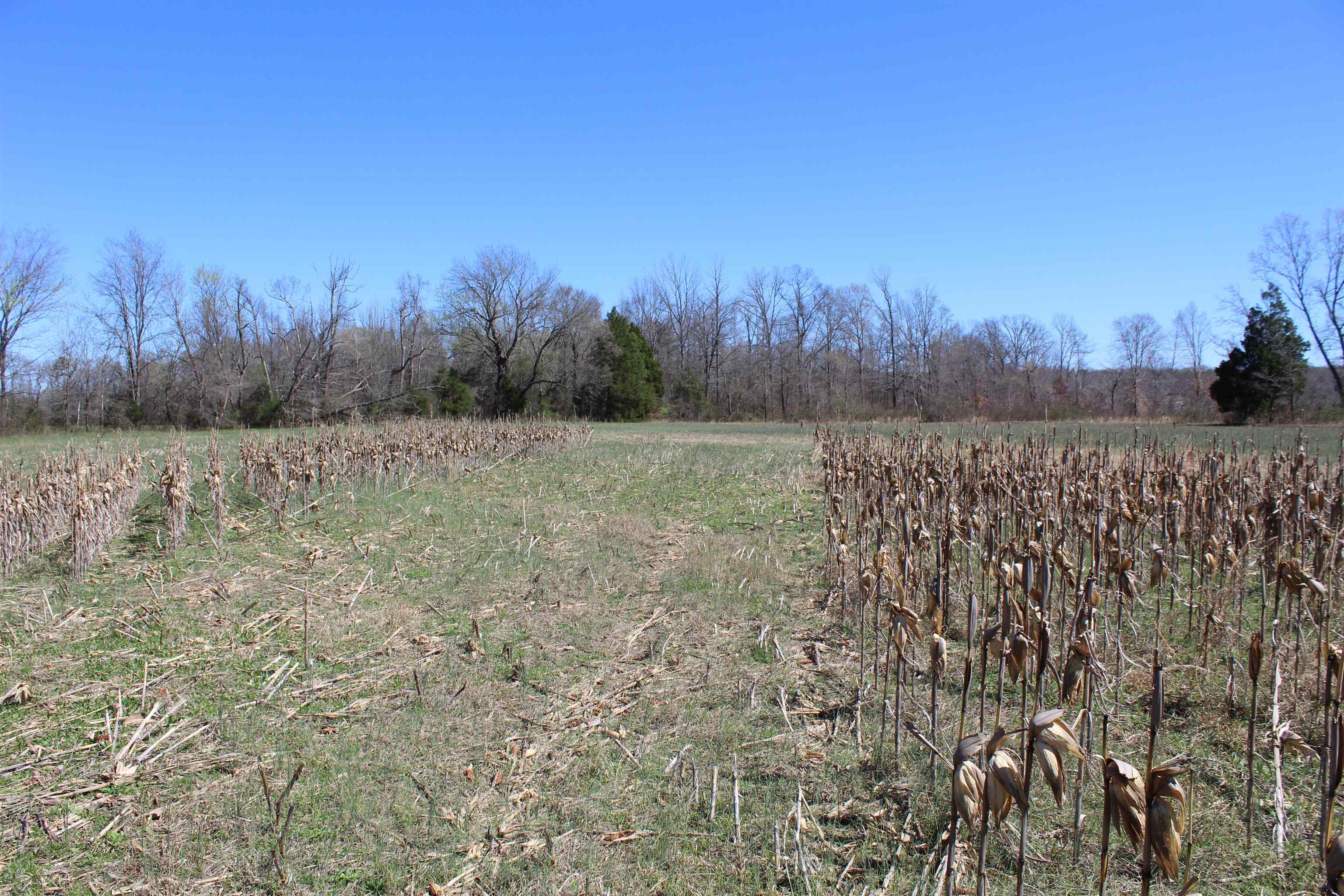 00 Van Buren Rd Property Photo 28