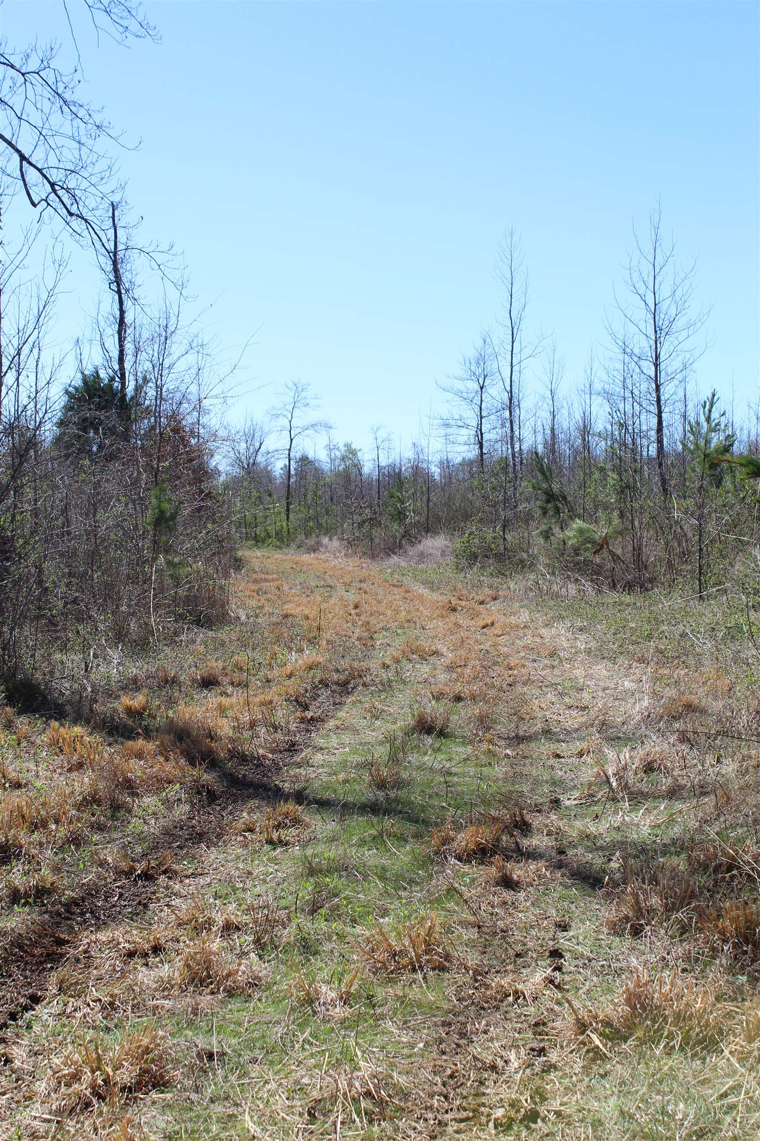 00 Van Buren Rd Property Photo 30